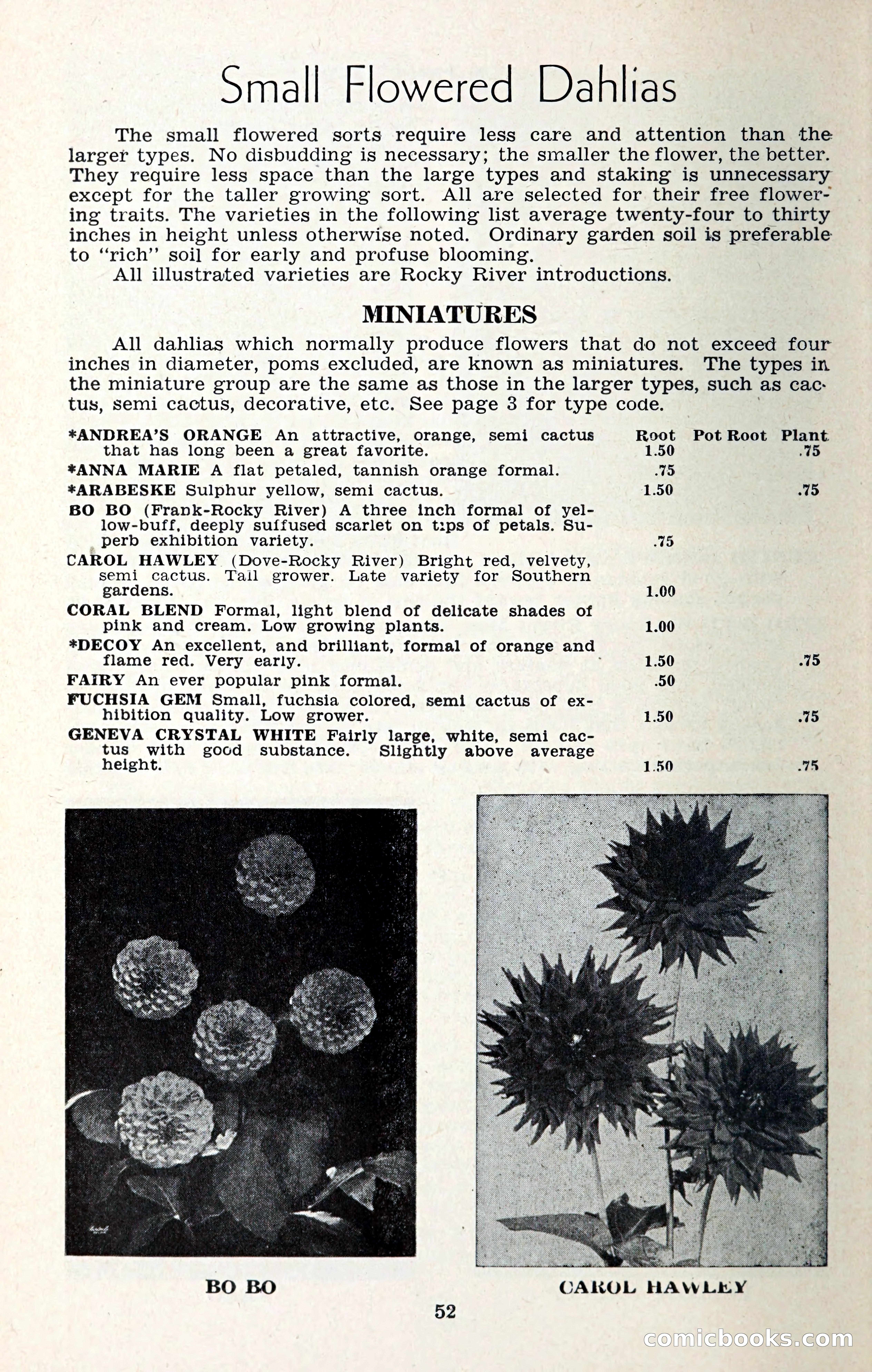 The Dahlia Blue Book for 1957 — page 55 of 69