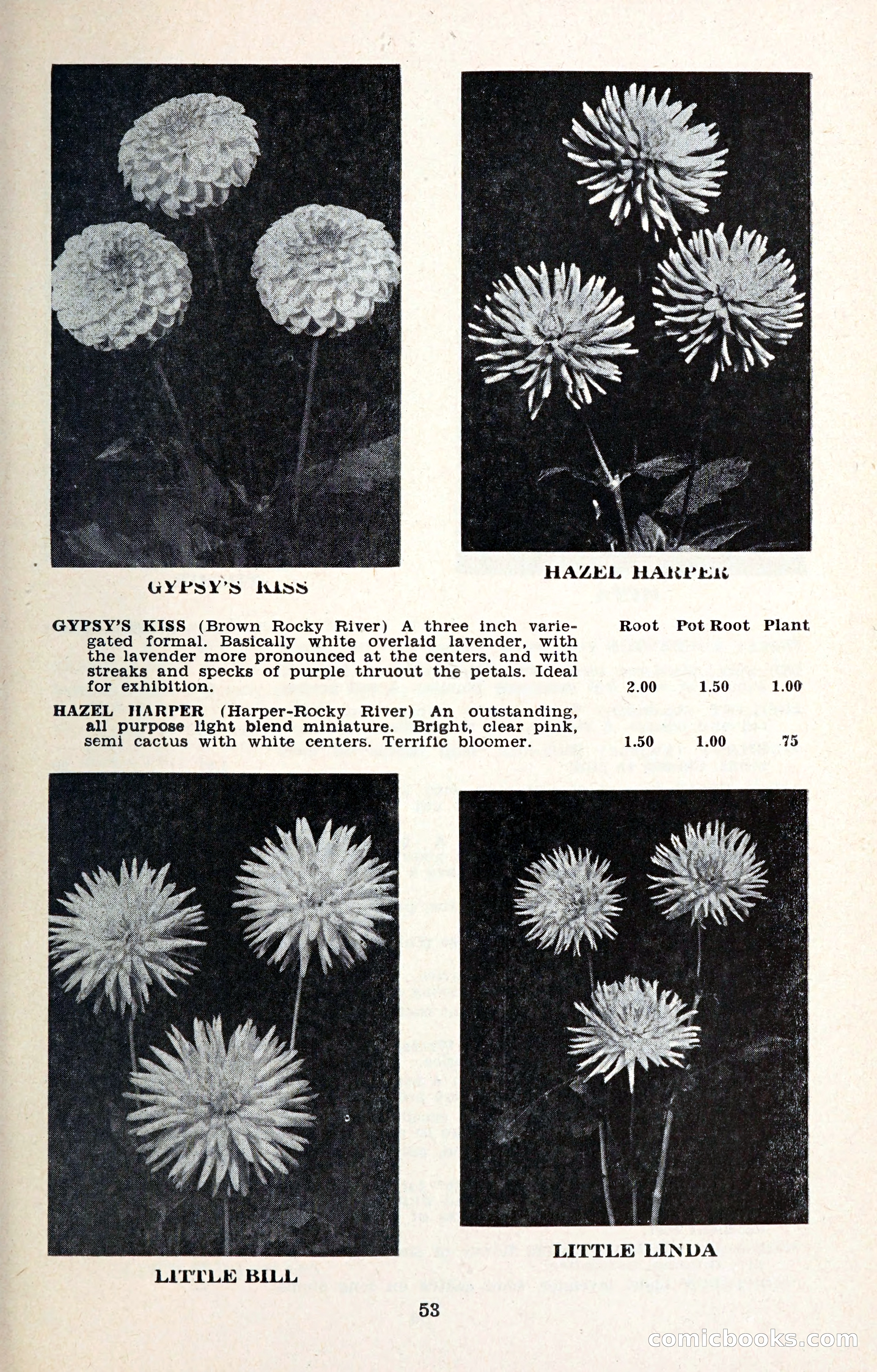The Dahlia Blue Book for 1957 — page 56 of 69