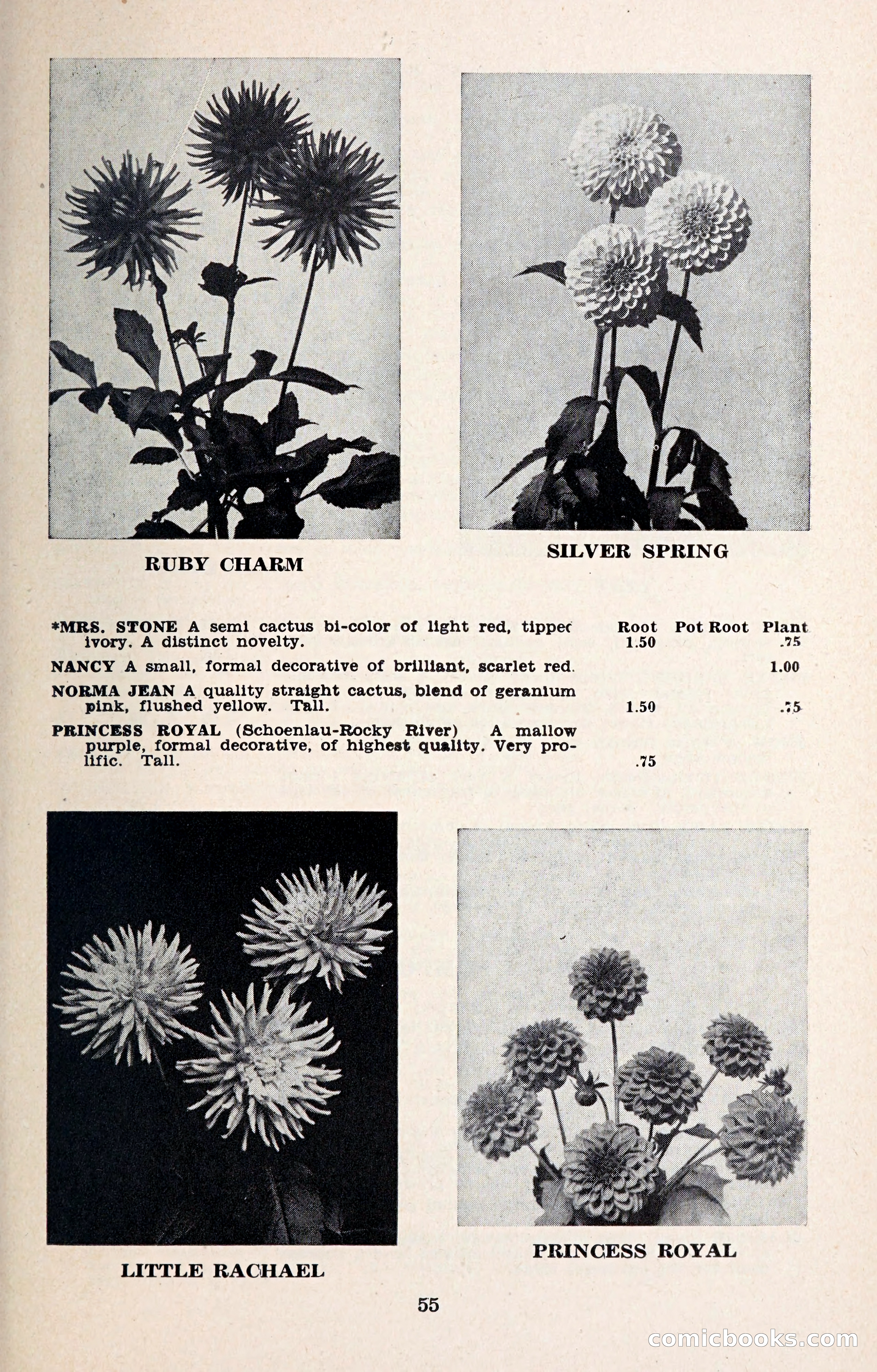 The Dahlia Blue Book for 1957 — page 58 of 69