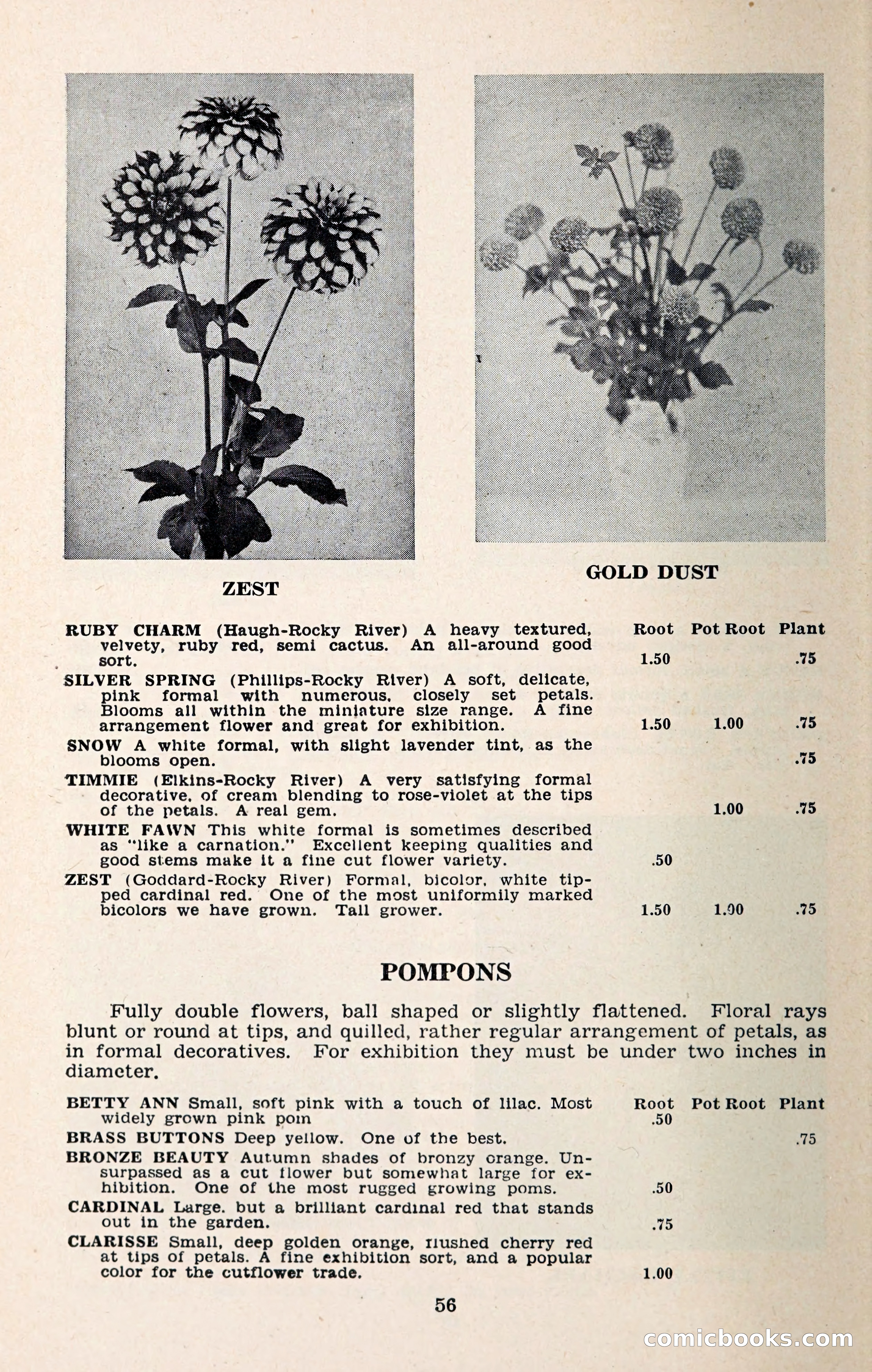 The Dahlia Blue Book for 1957 — page 59 of 69