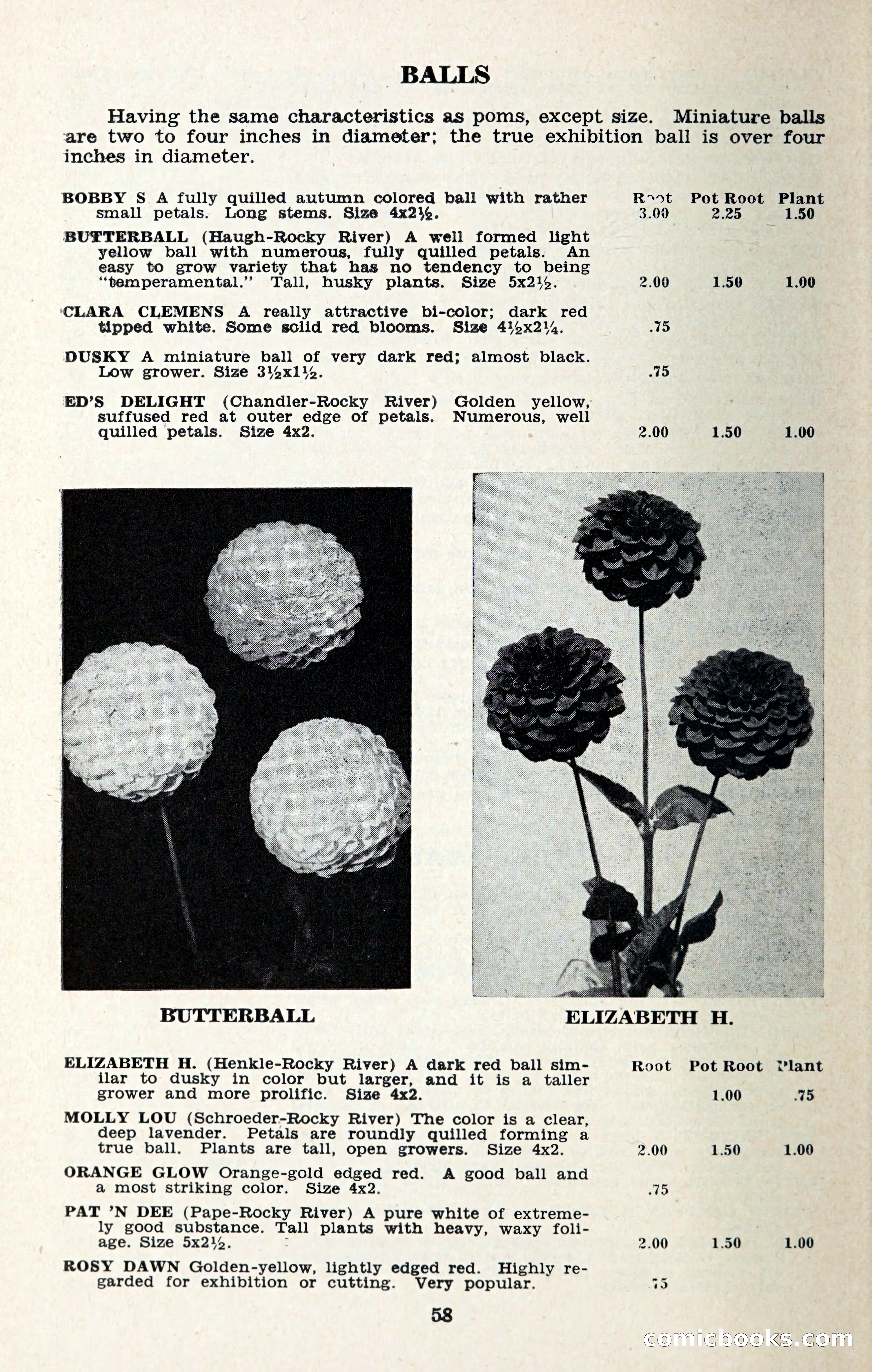 The Dahlia Blue Book for 1957 — page 61 of 69