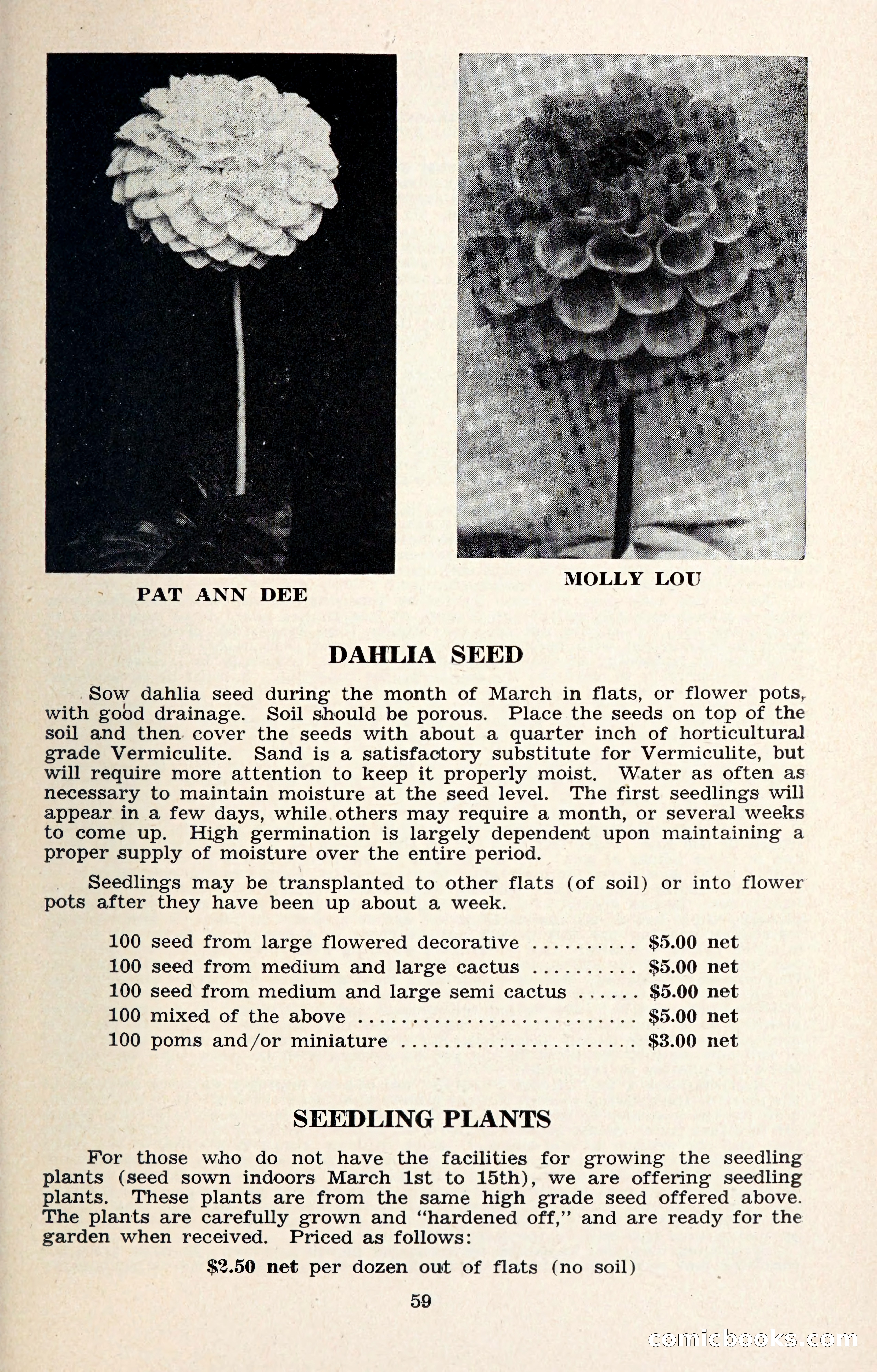 The Dahlia Blue Book for 1957 — page 62 of 69