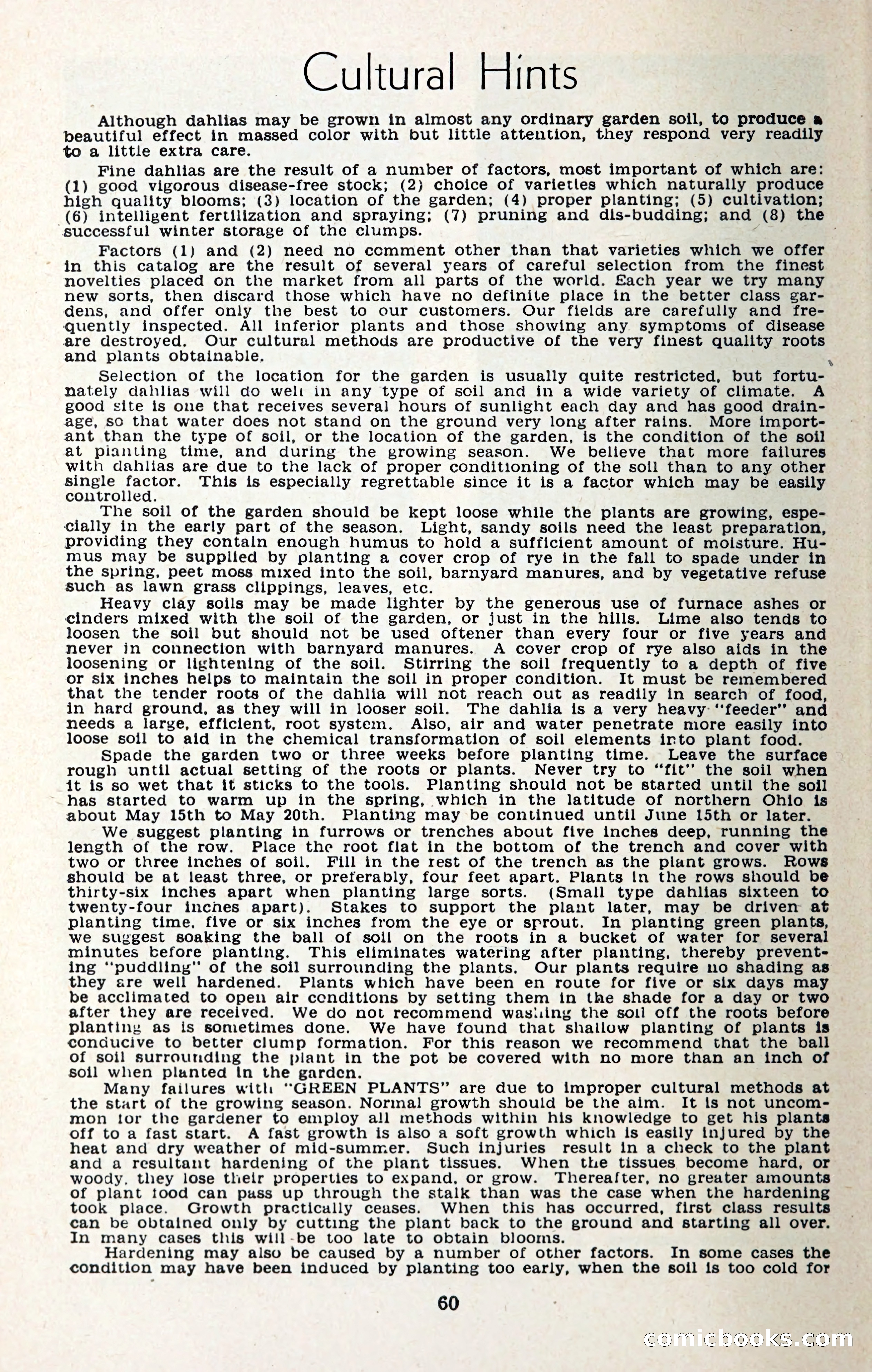 The Dahlia Blue Book for 1957 — page 63 of 69