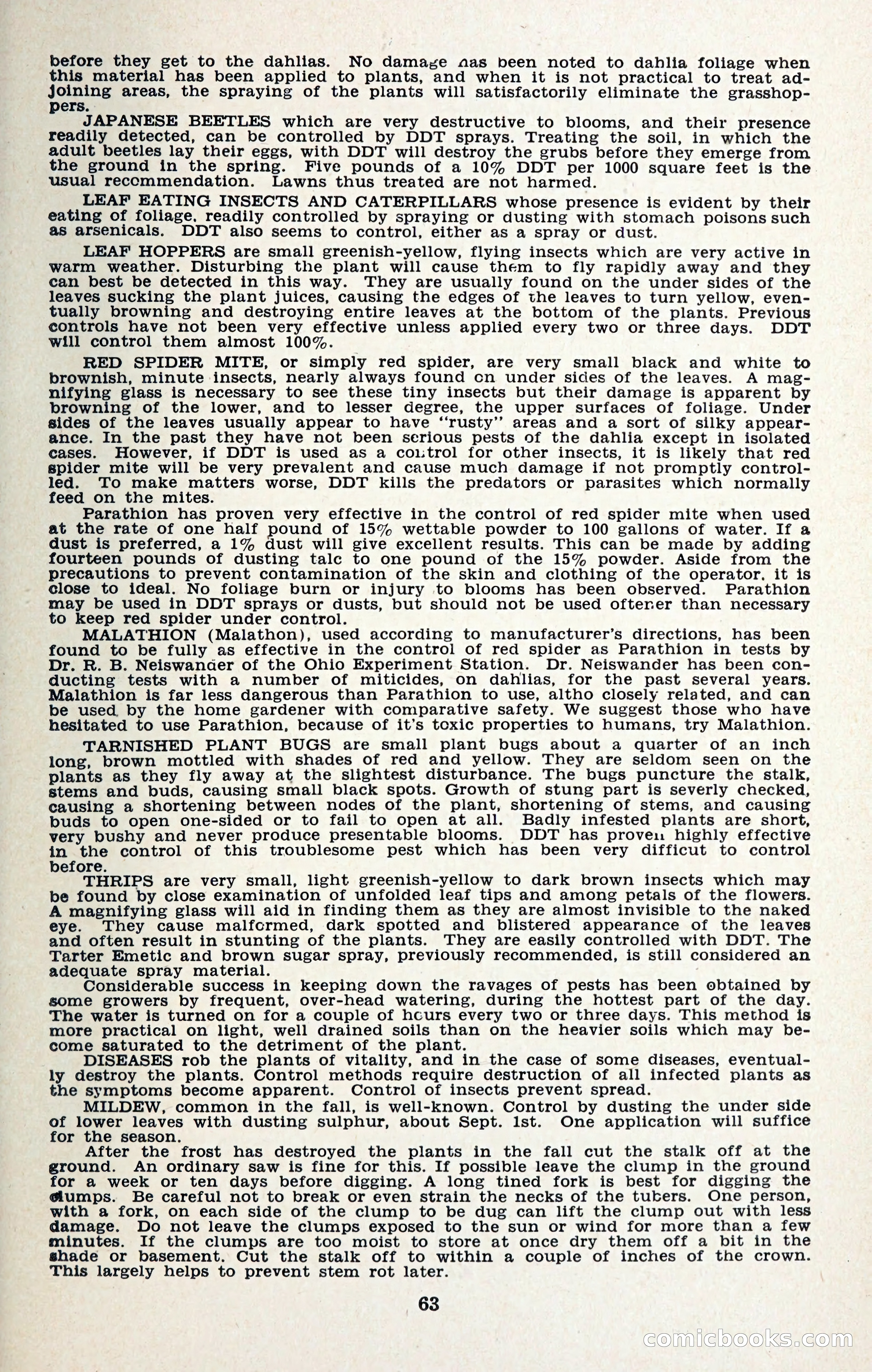 The Dahlia Blue Book for 1957 — page 66 of 69