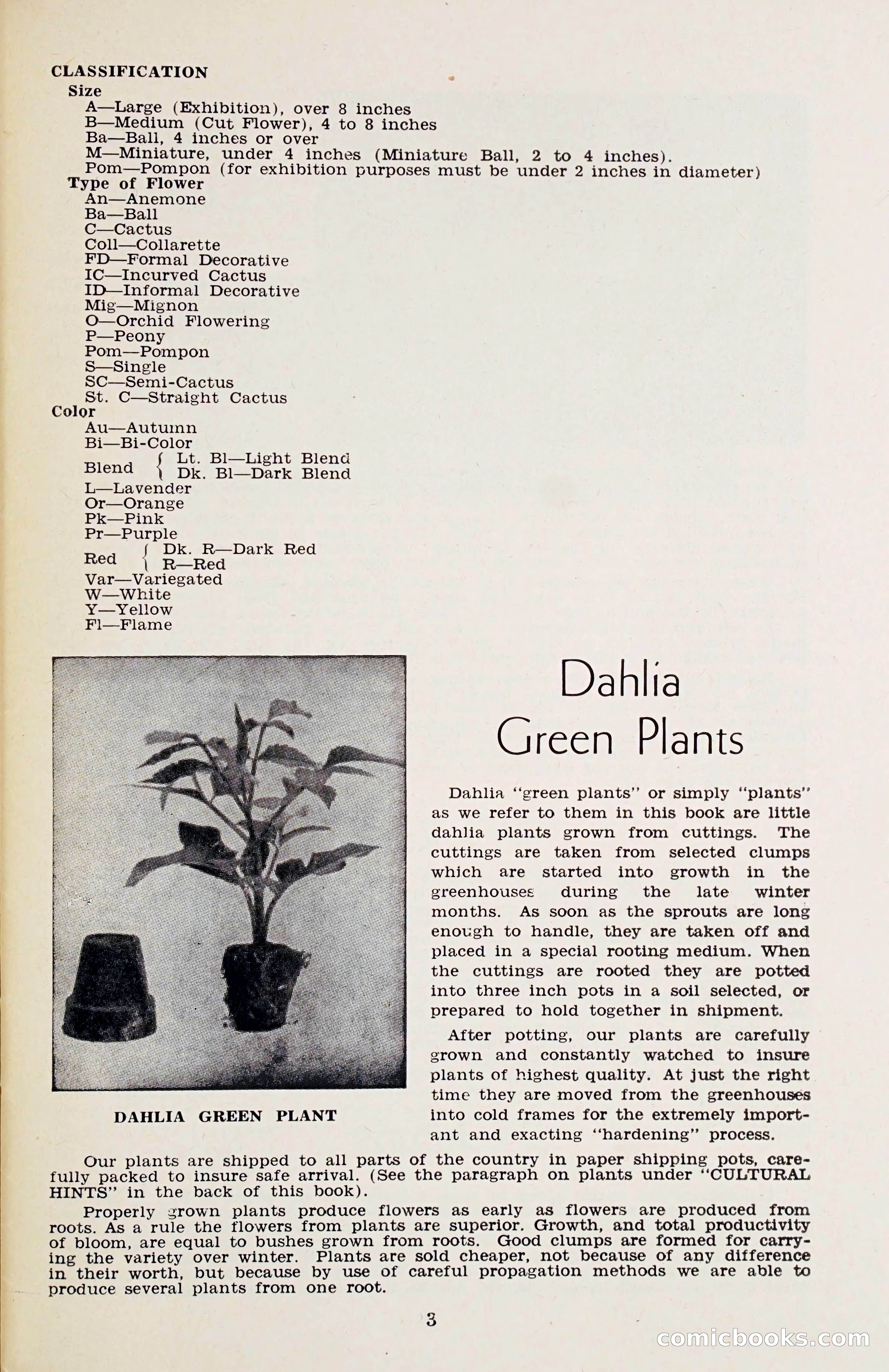 The Dahlia Blue Book for 1958 — page 6 of 67