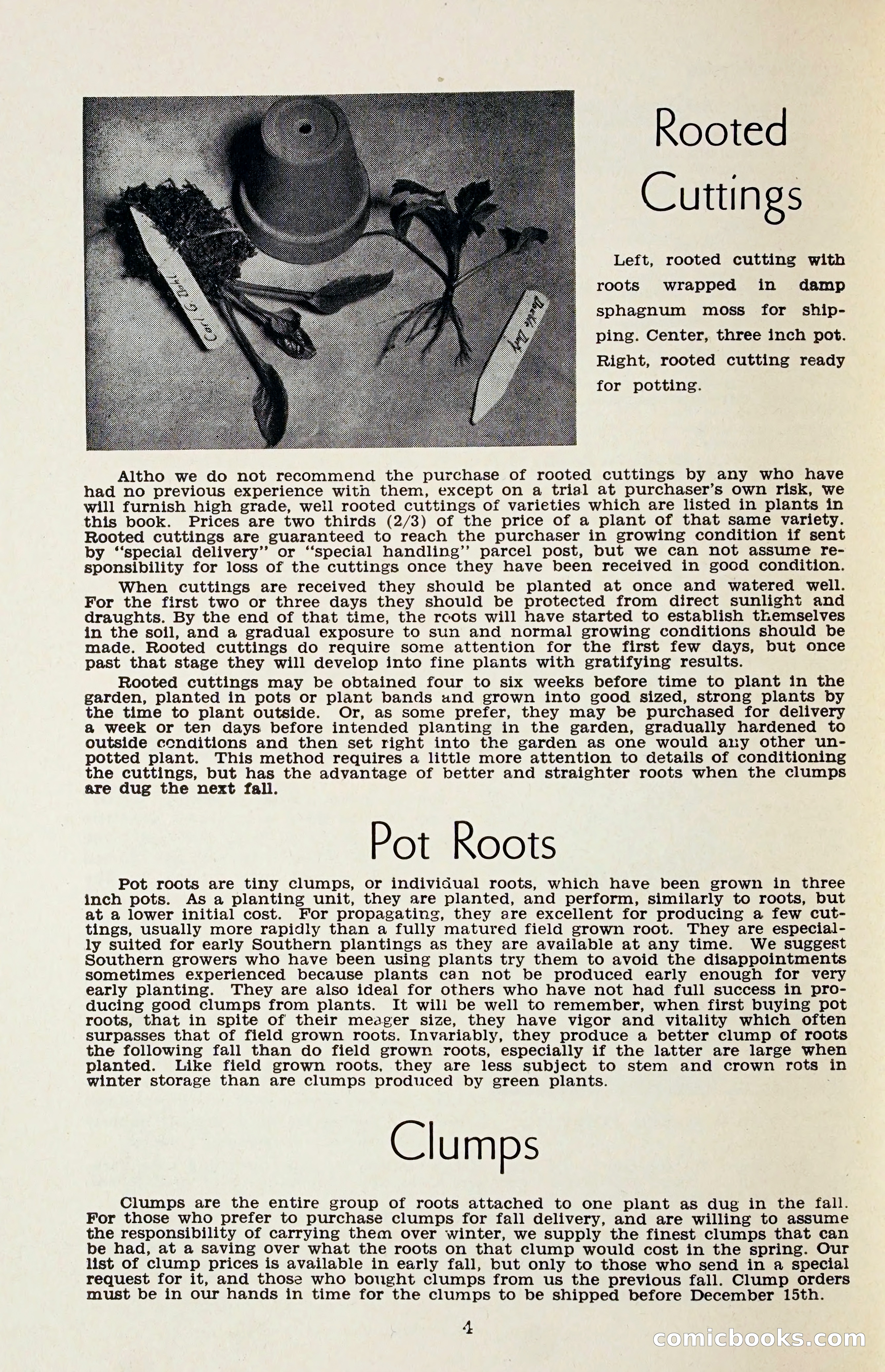 The Dahlia Blue Book for 1958 — page 7 of 67