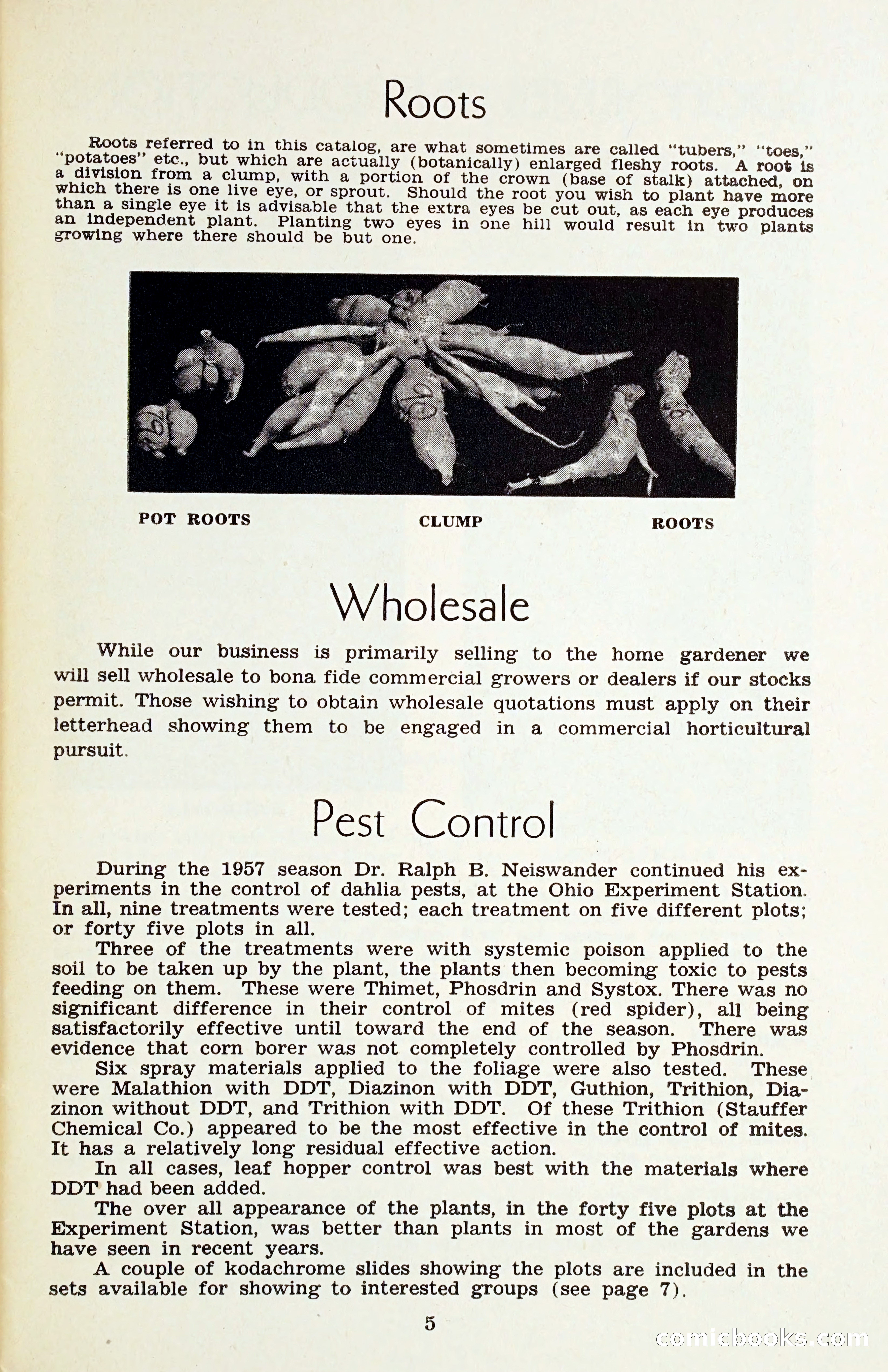 The Dahlia Blue Book for 1958 — page 8 of 67