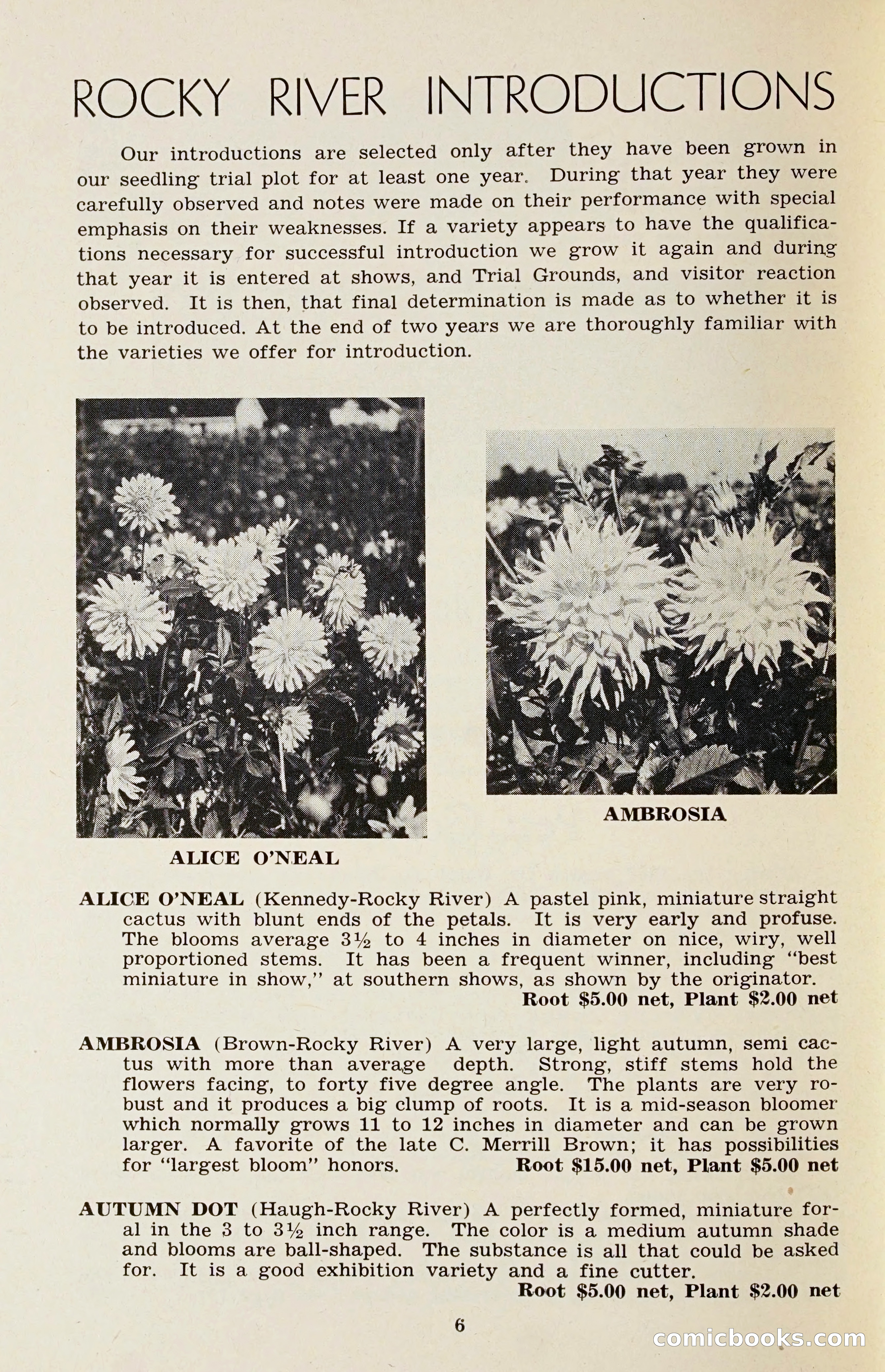 The Dahlia Blue Book for 1958 — page 9 of 67