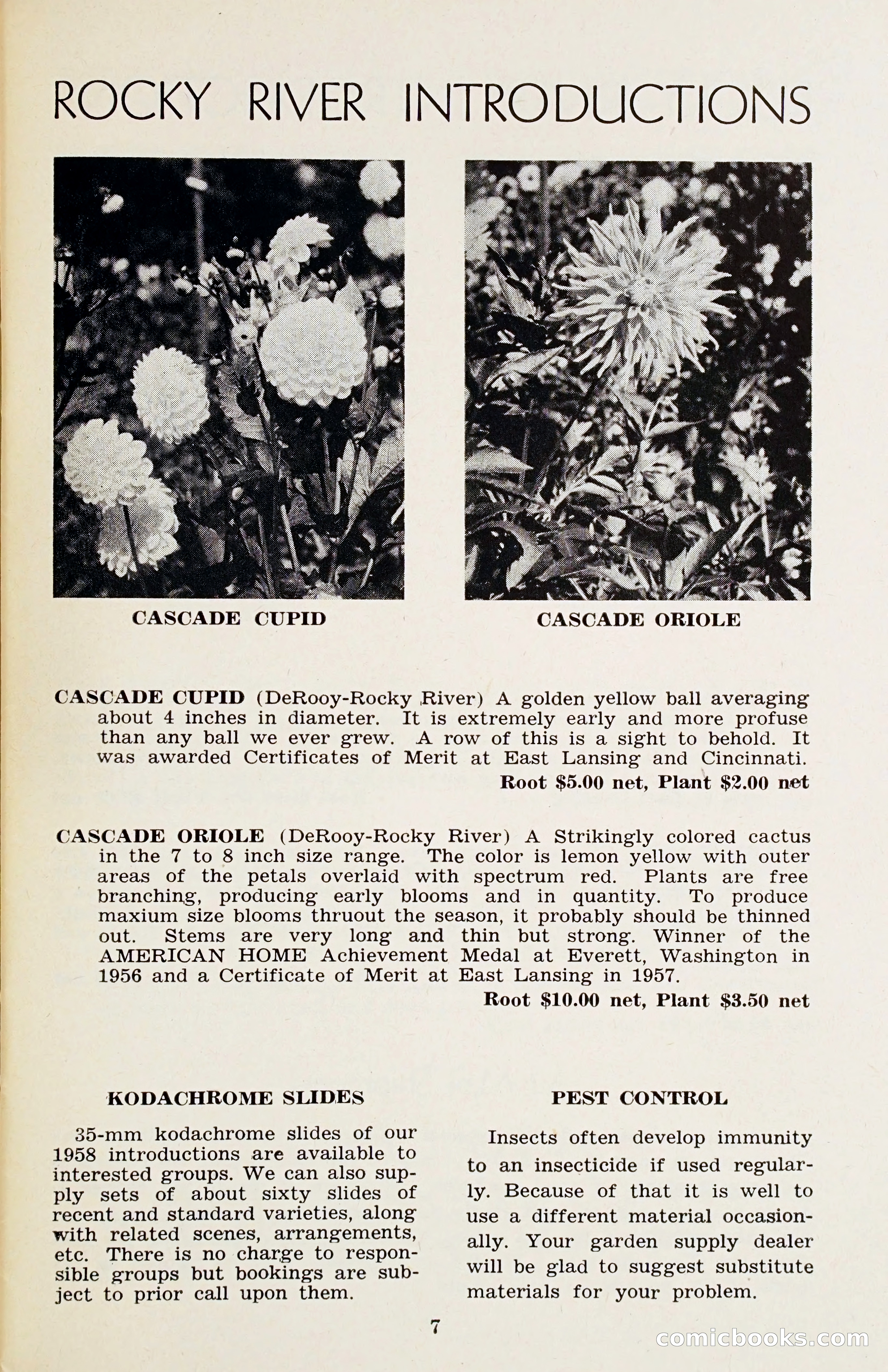 The Dahlia Blue Book for 1958 — page 10 of 67