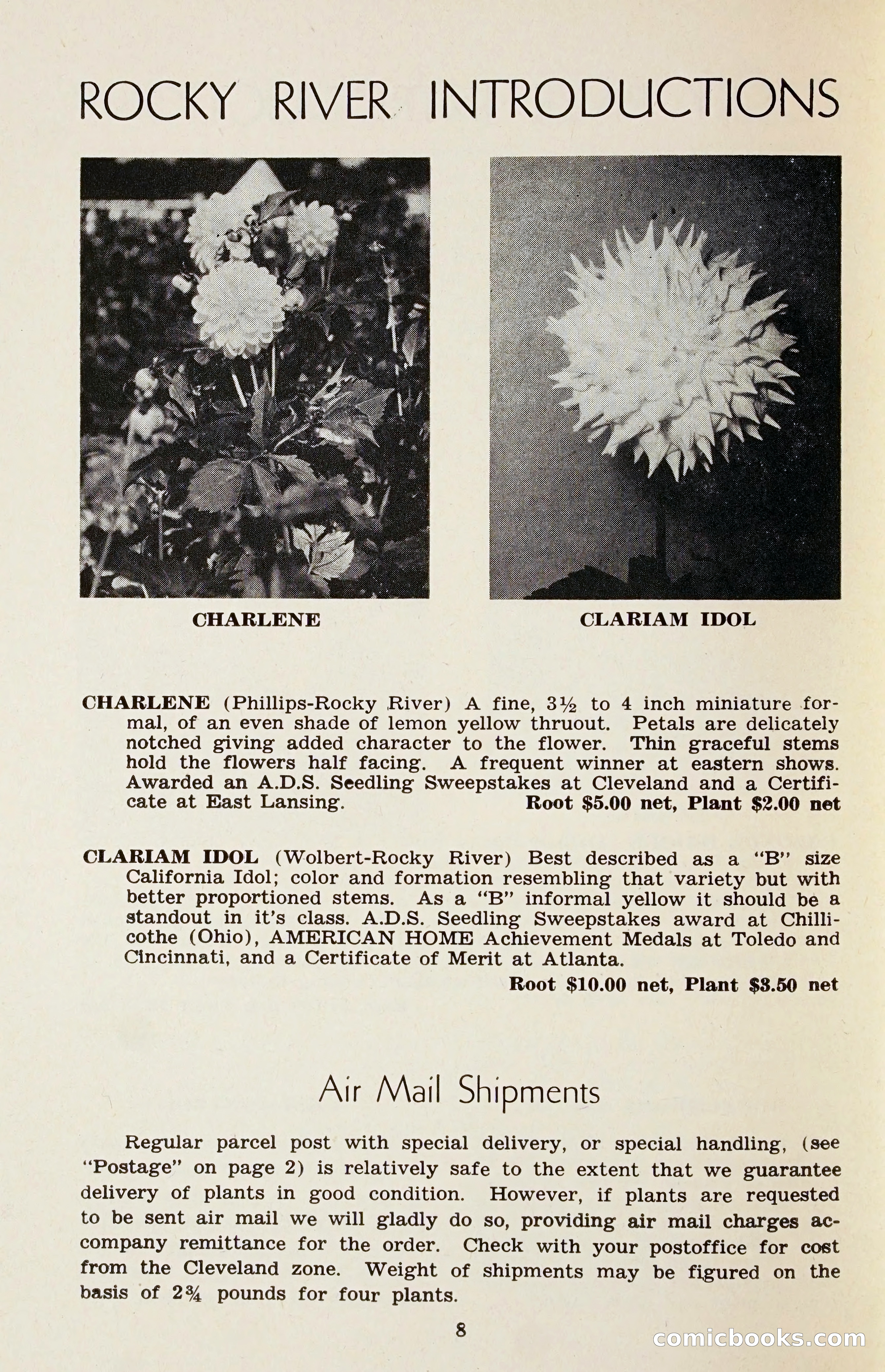 The Dahlia Blue Book for 1958 — page 11 of 67