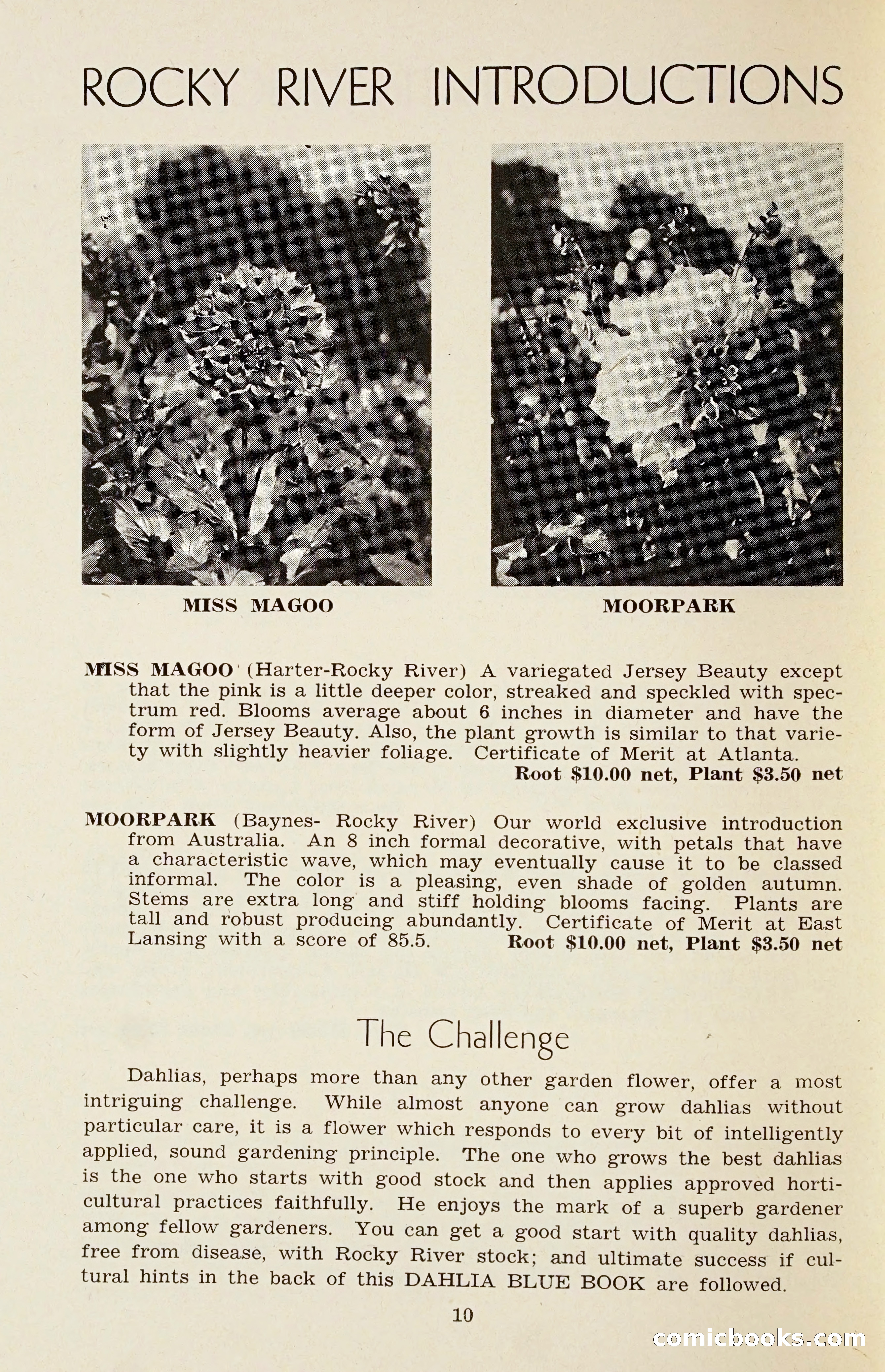The Dahlia Blue Book for 1958 — page 13 of 67