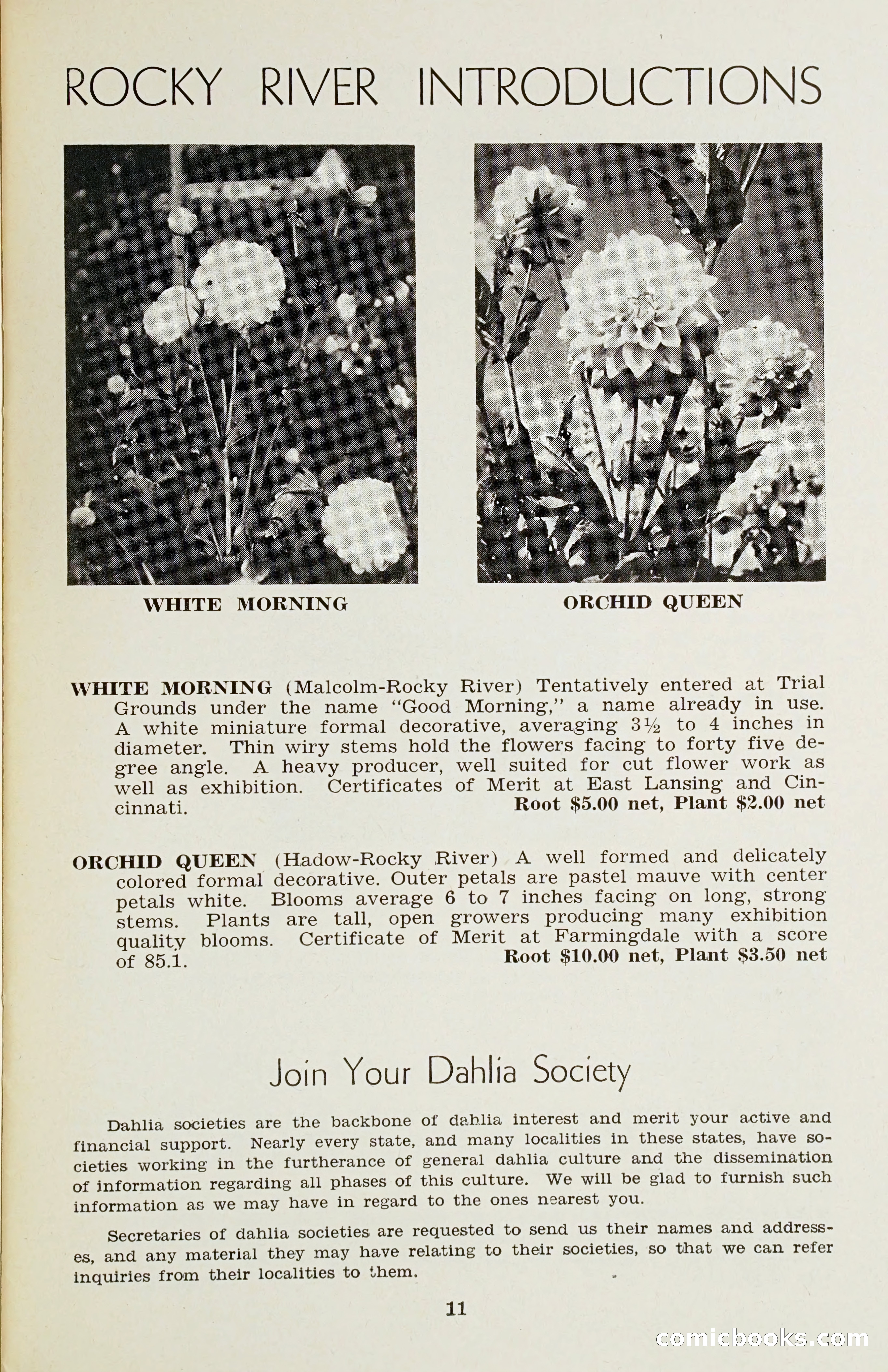 The Dahlia Blue Book for 1958 — page 14 of 67