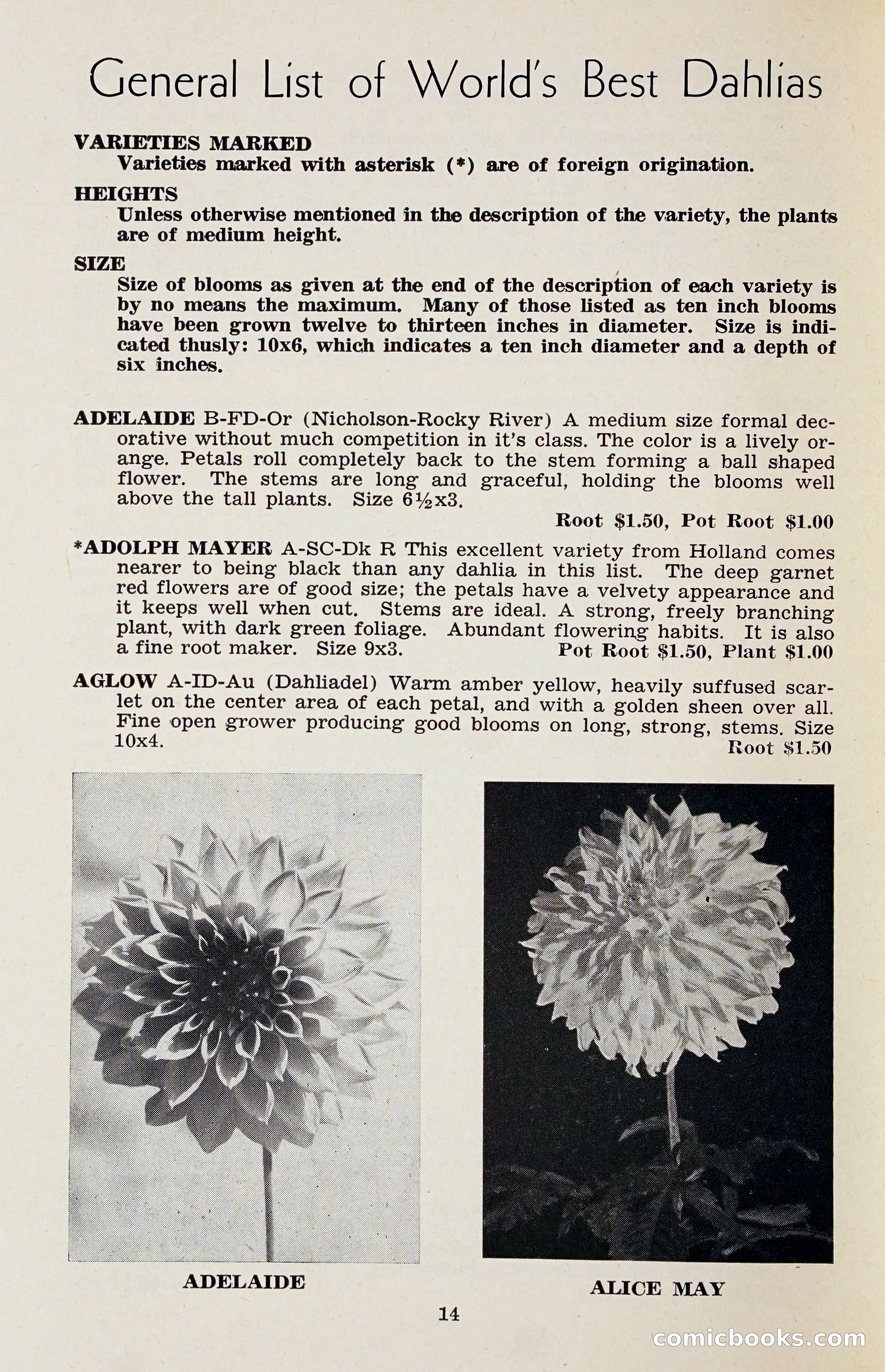 The Dahlia Blue Book for 1958 — page 17 of 67