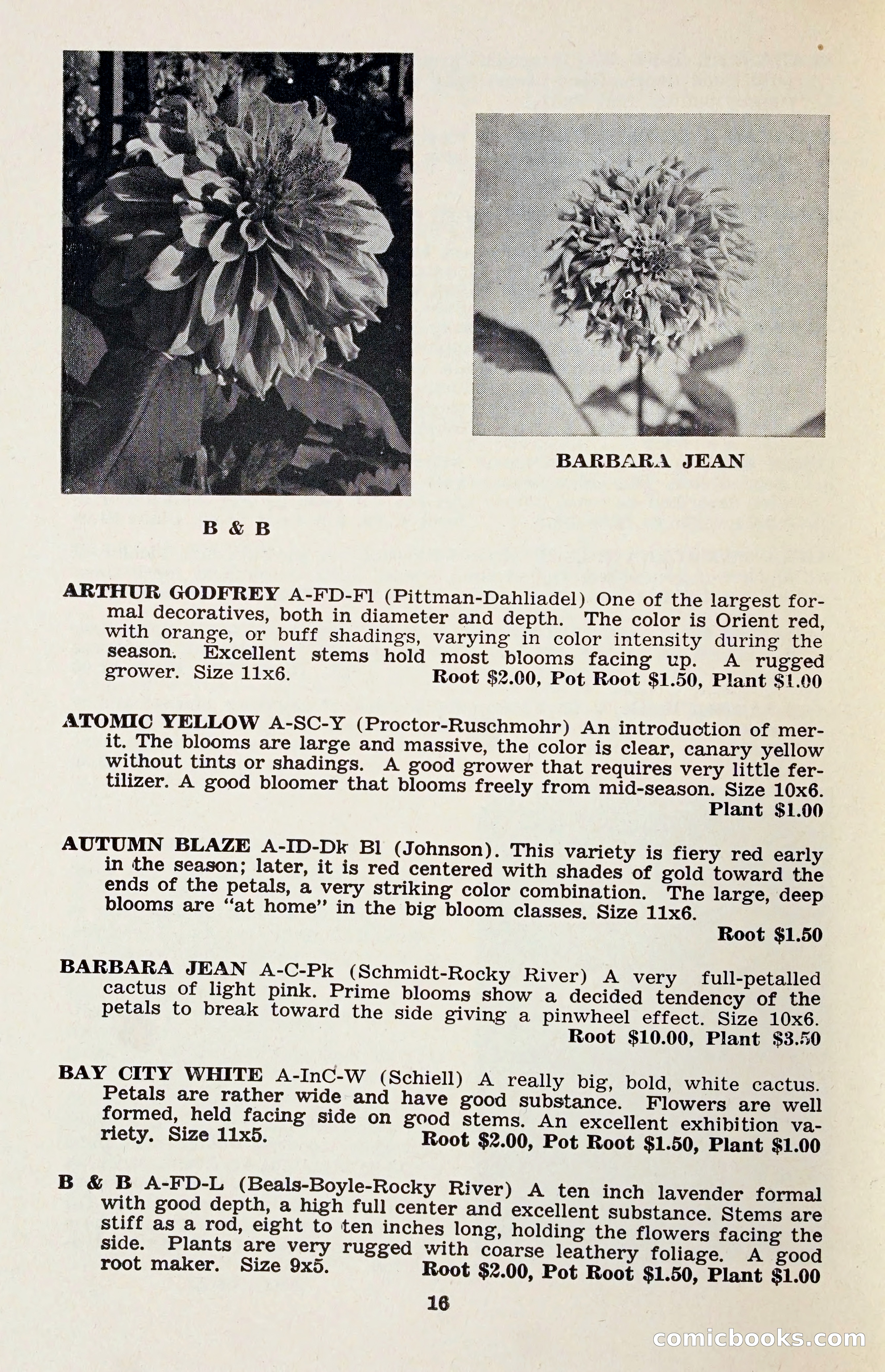 The Dahlia Blue Book for 1958 — page 19 of 67
