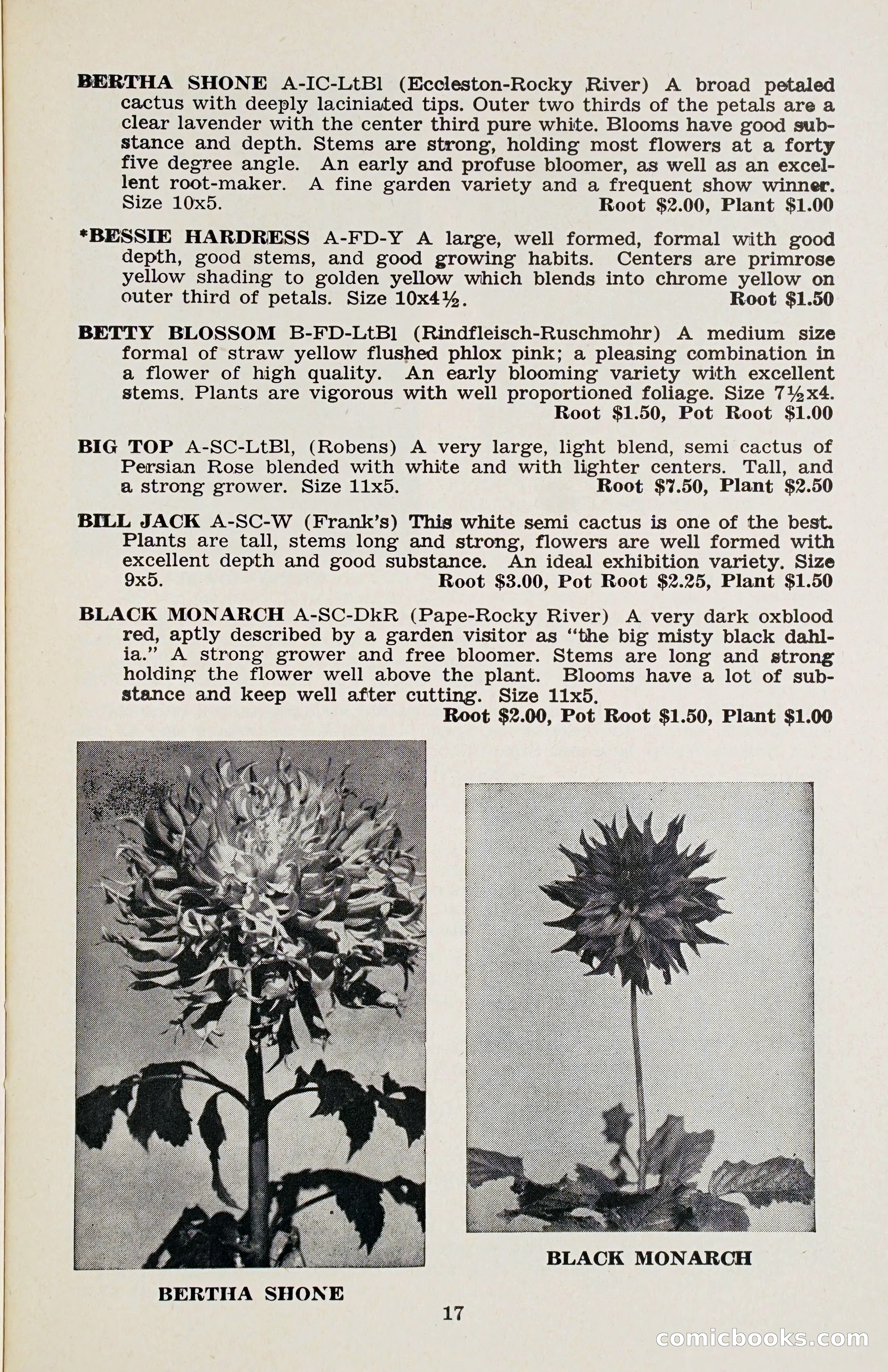 The Dahlia Blue Book for 1958 — page 20 of 67