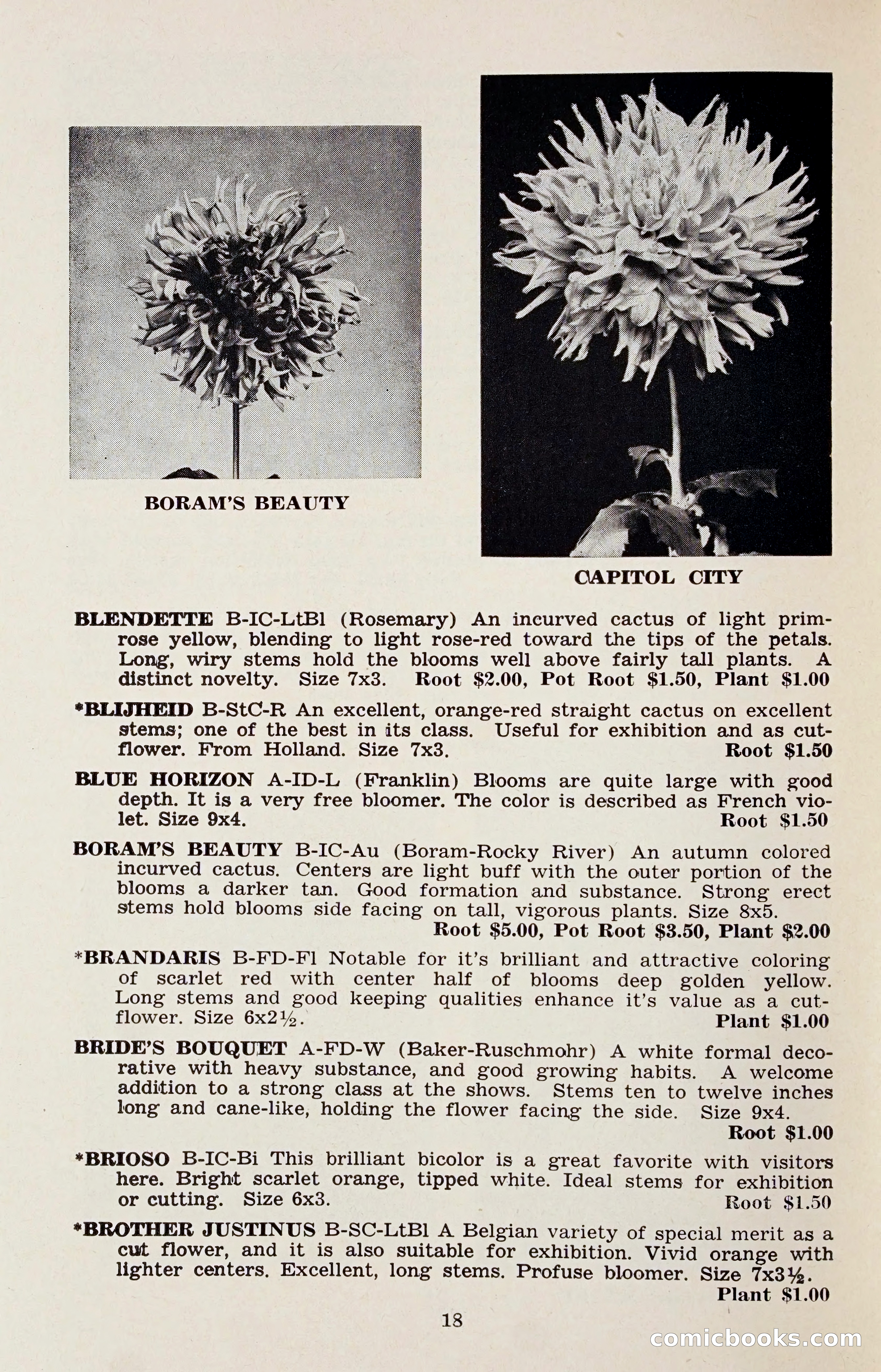 The Dahlia Blue Book for 1958 — page 21 of 67