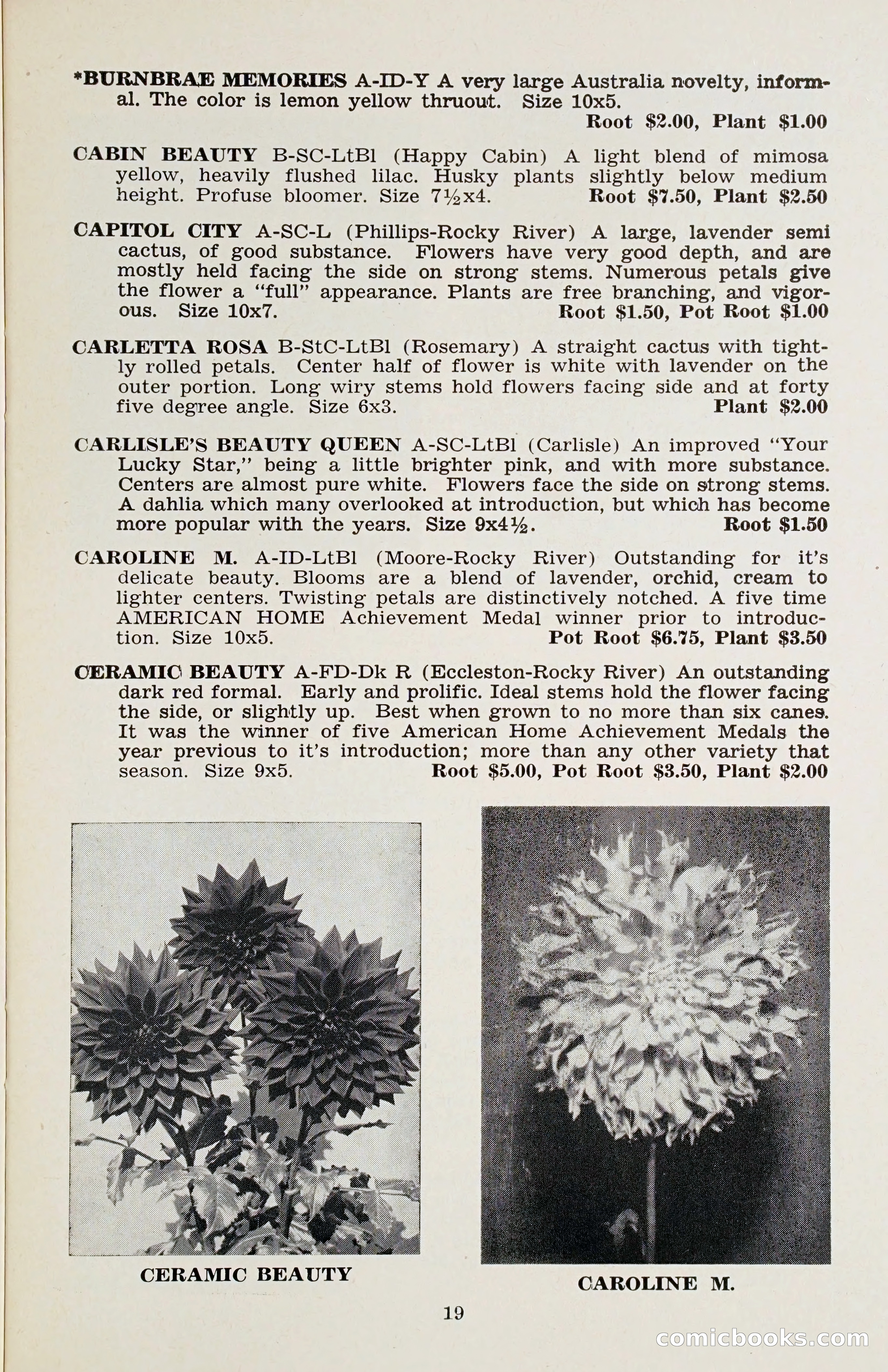 The Dahlia Blue Book for 1958 — page 22 of 67
