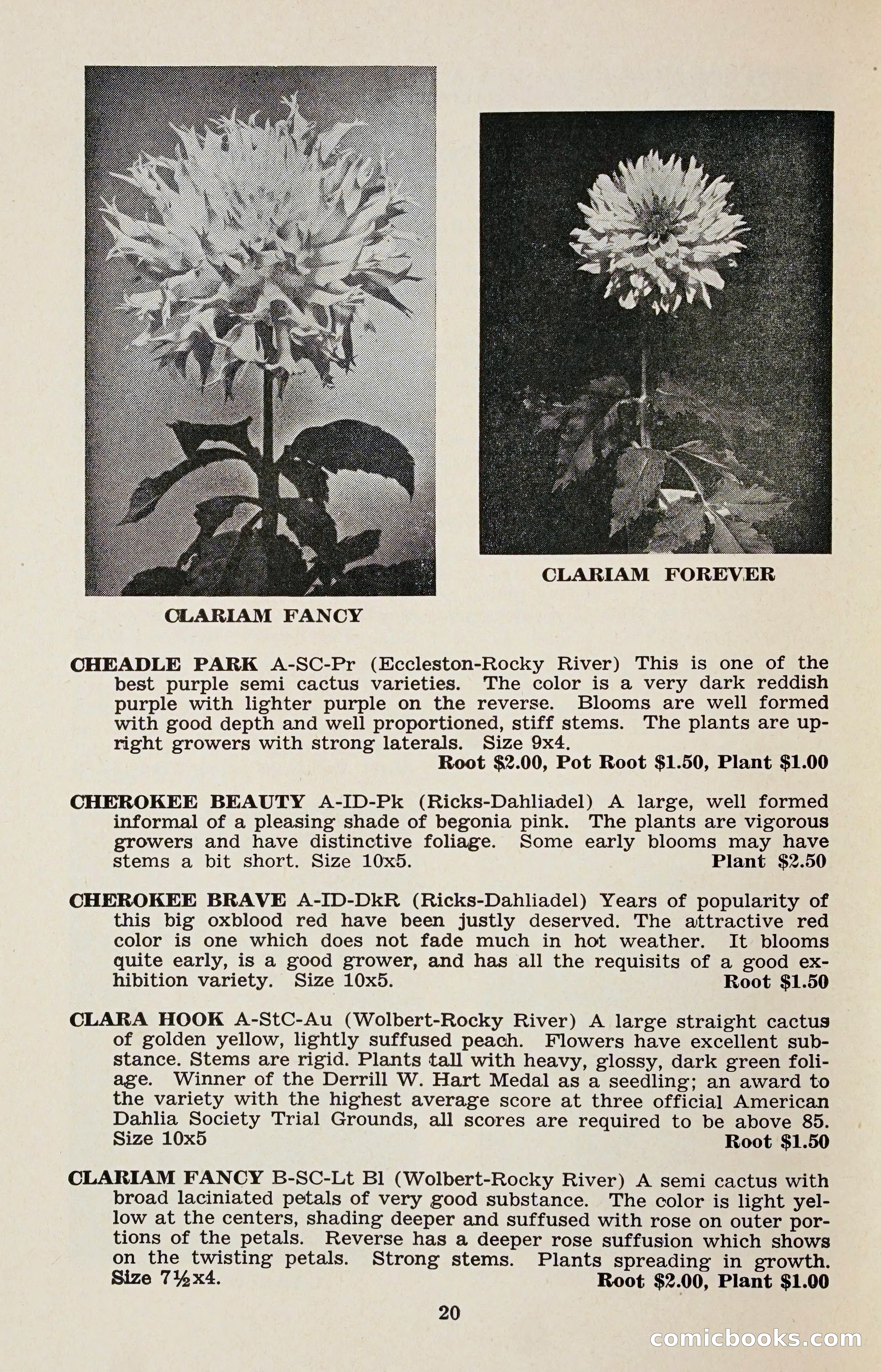 The Dahlia Blue Book for 1958 — page 23 of 67