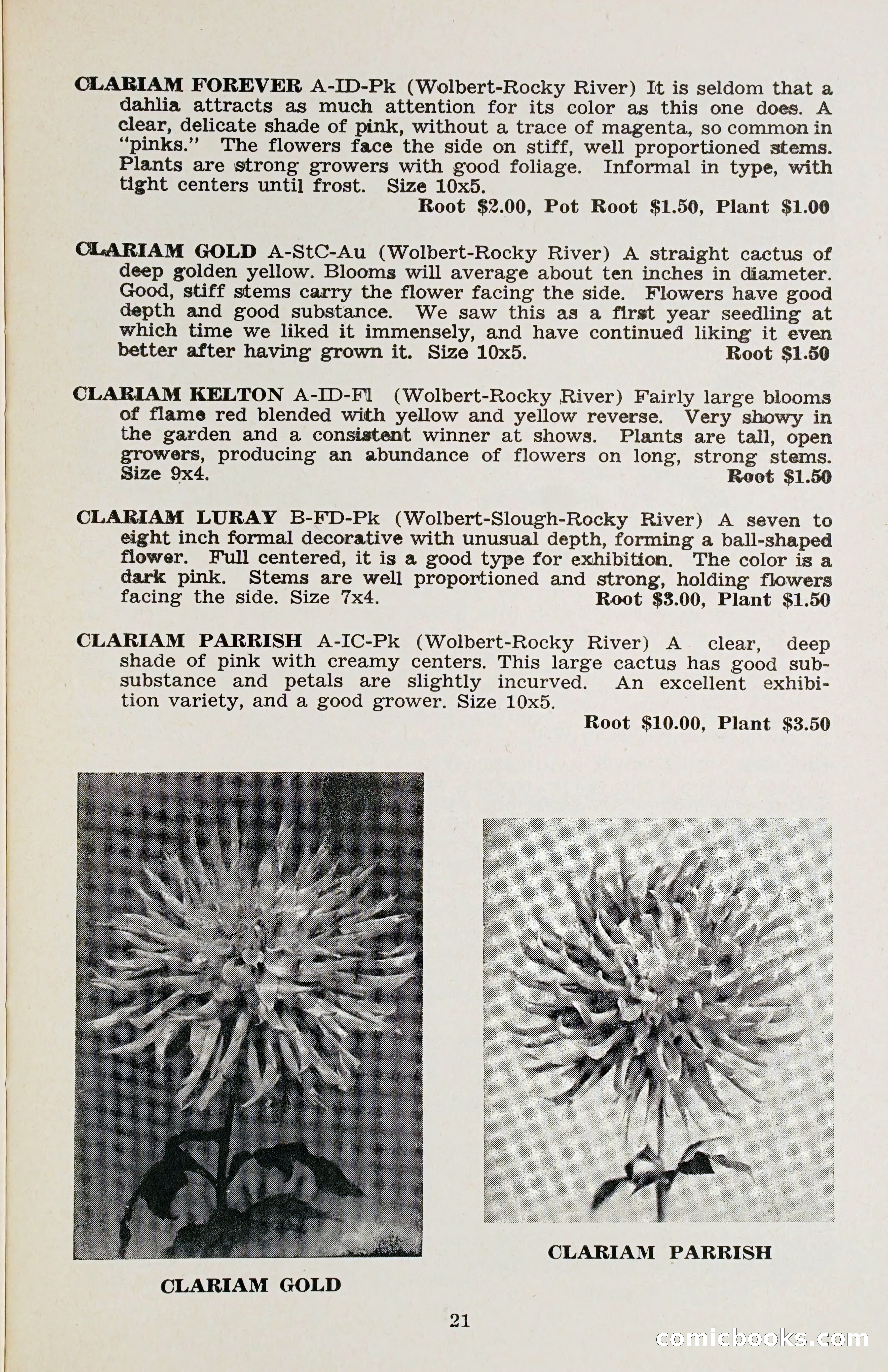 The Dahlia Blue Book for 1958 — page 24 of 67