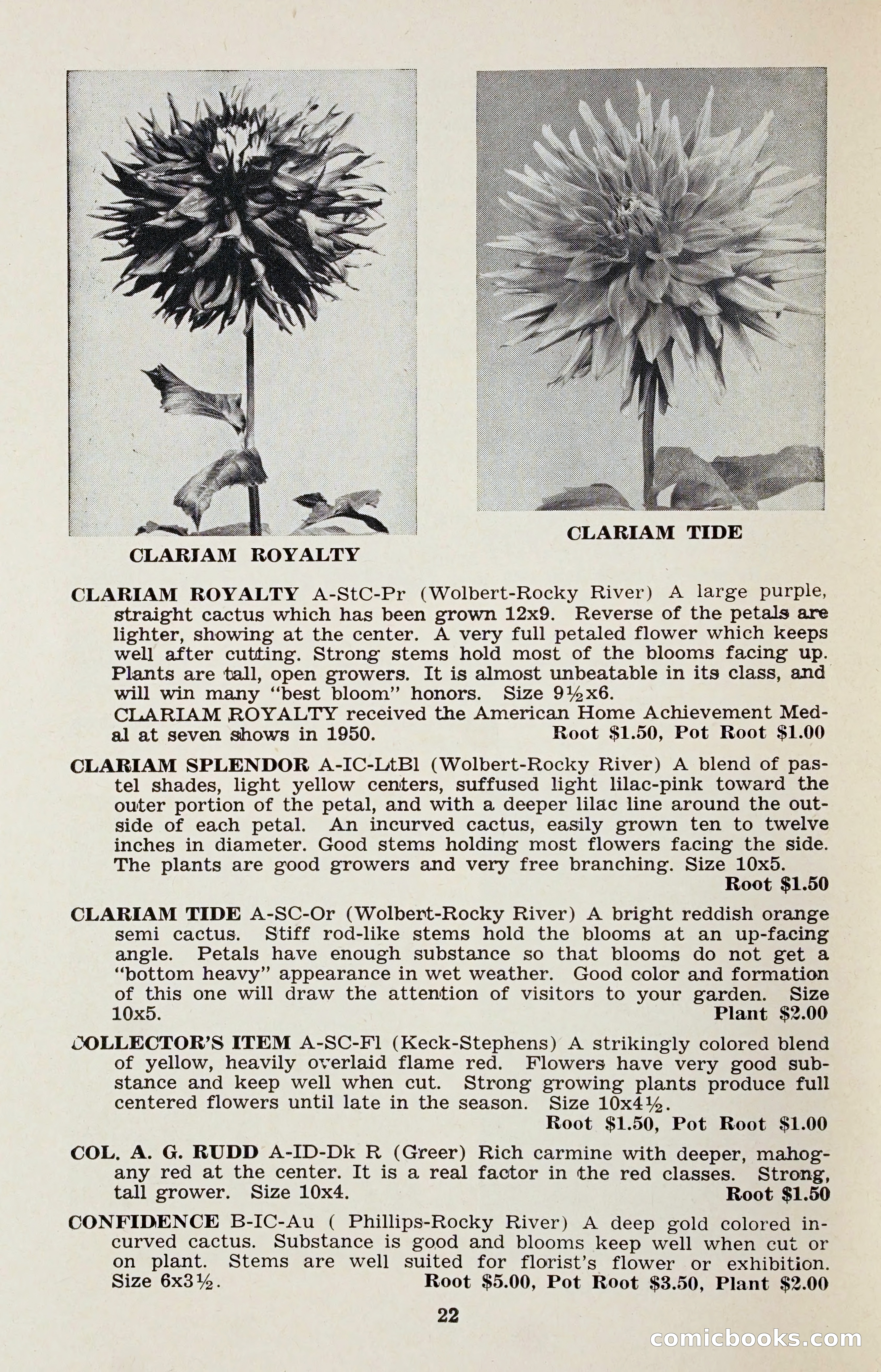 The Dahlia Blue Book for 1958 — page 25 of 67