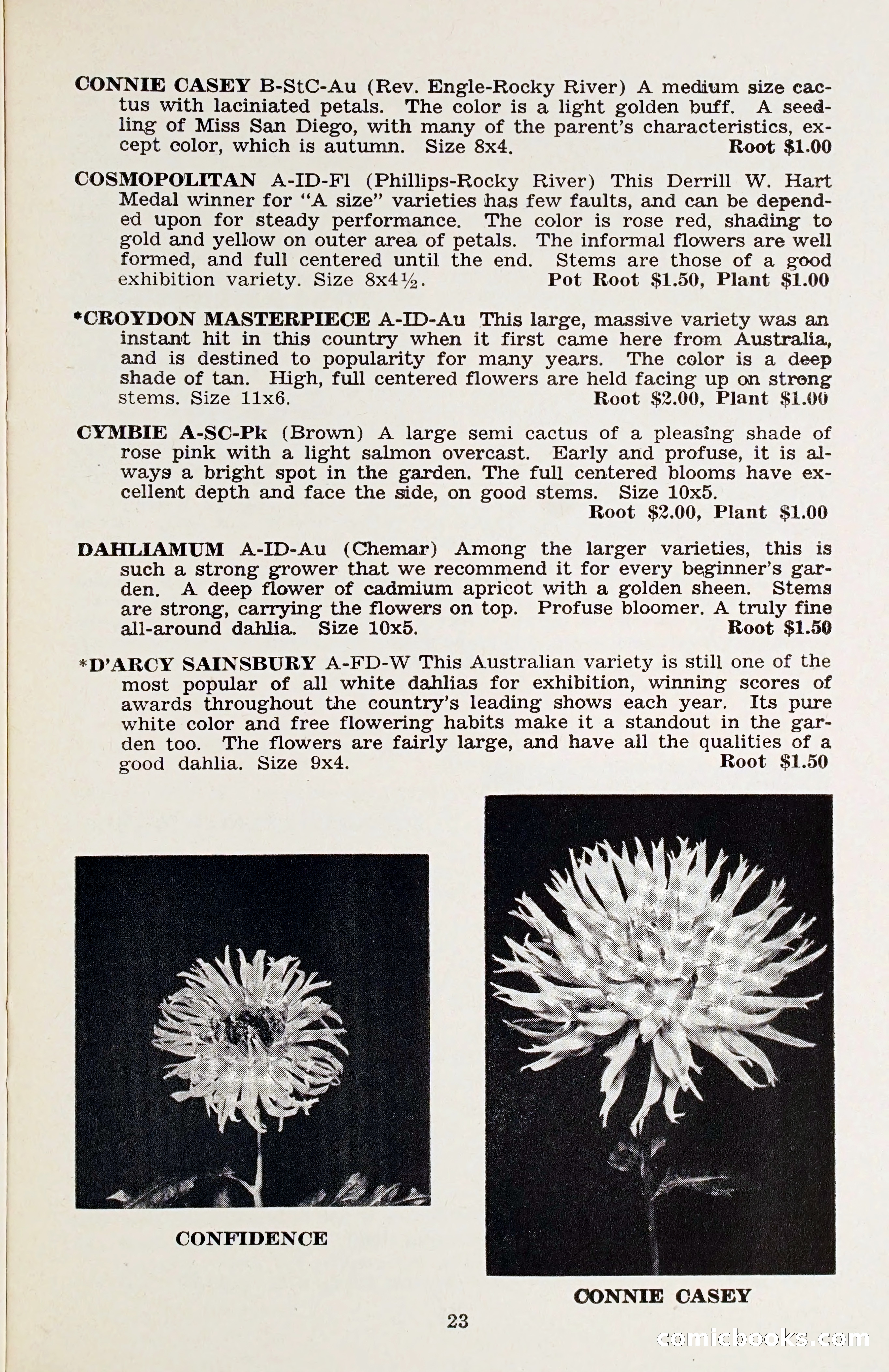 The Dahlia Blue Book for 1958 — page 26 of 67
