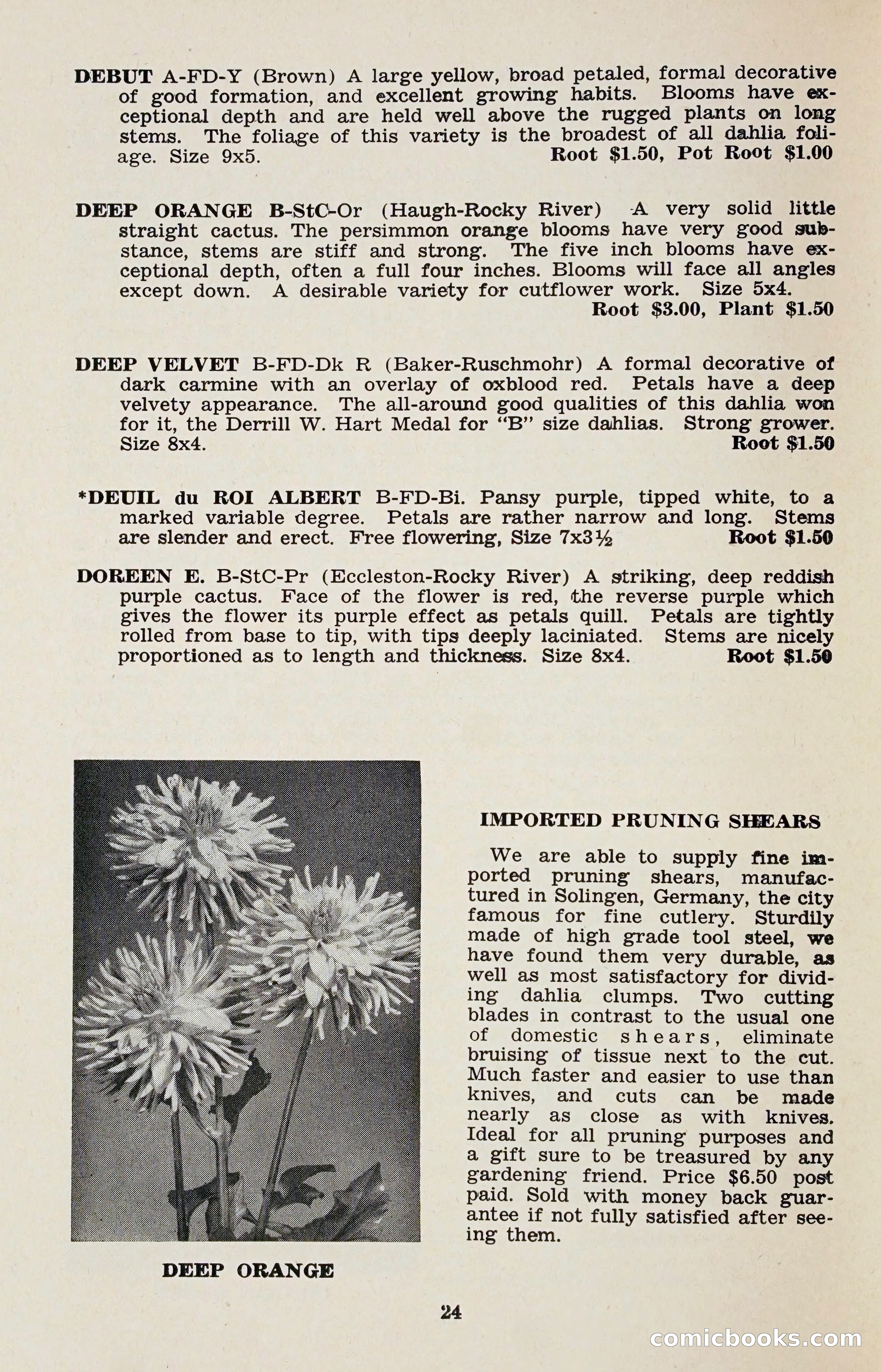 The Dahlia Blue Book for 1958 — page 27 of 67
