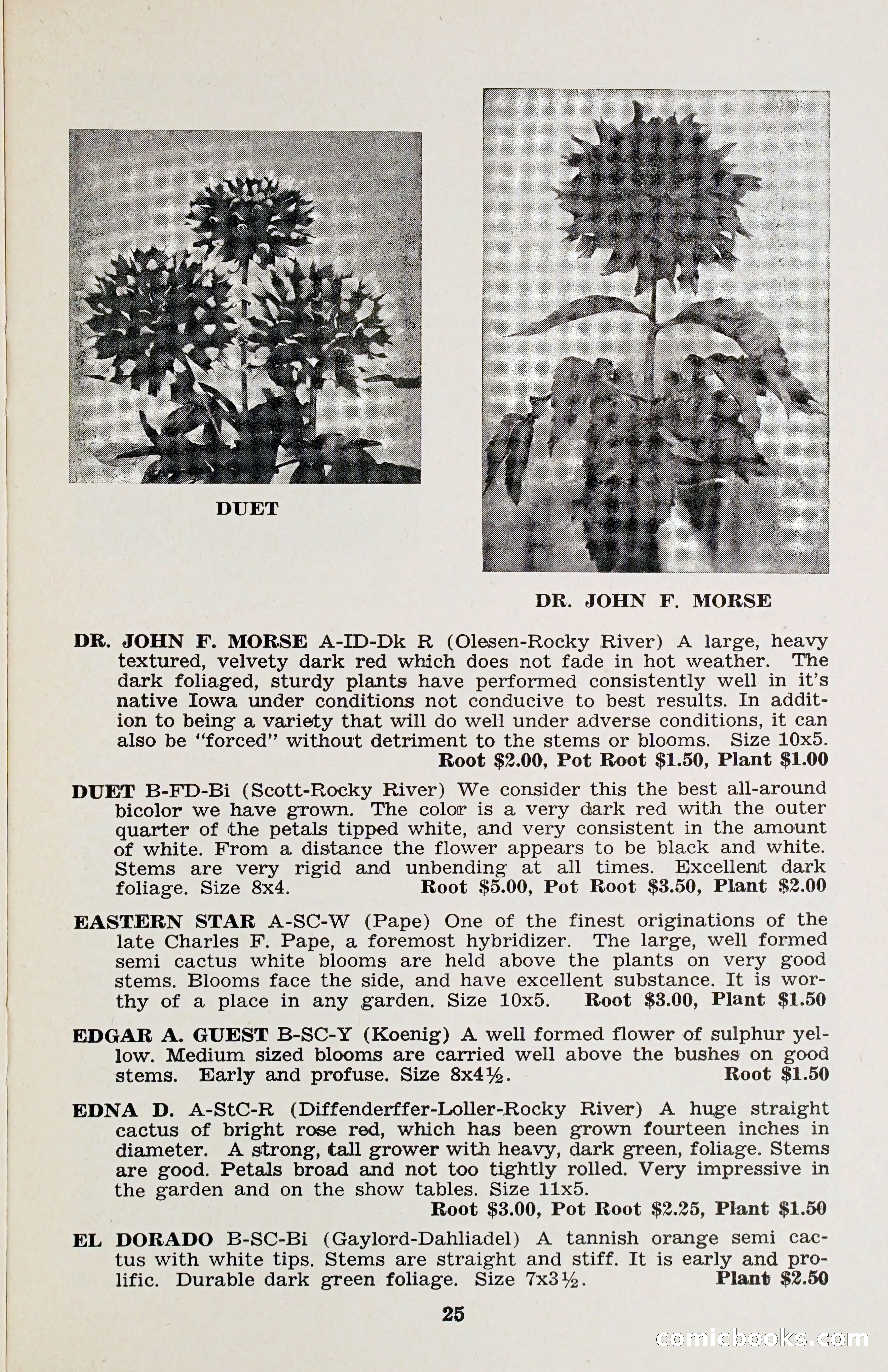 The Dahlia Blue Book for 1958 — page 28 of 67