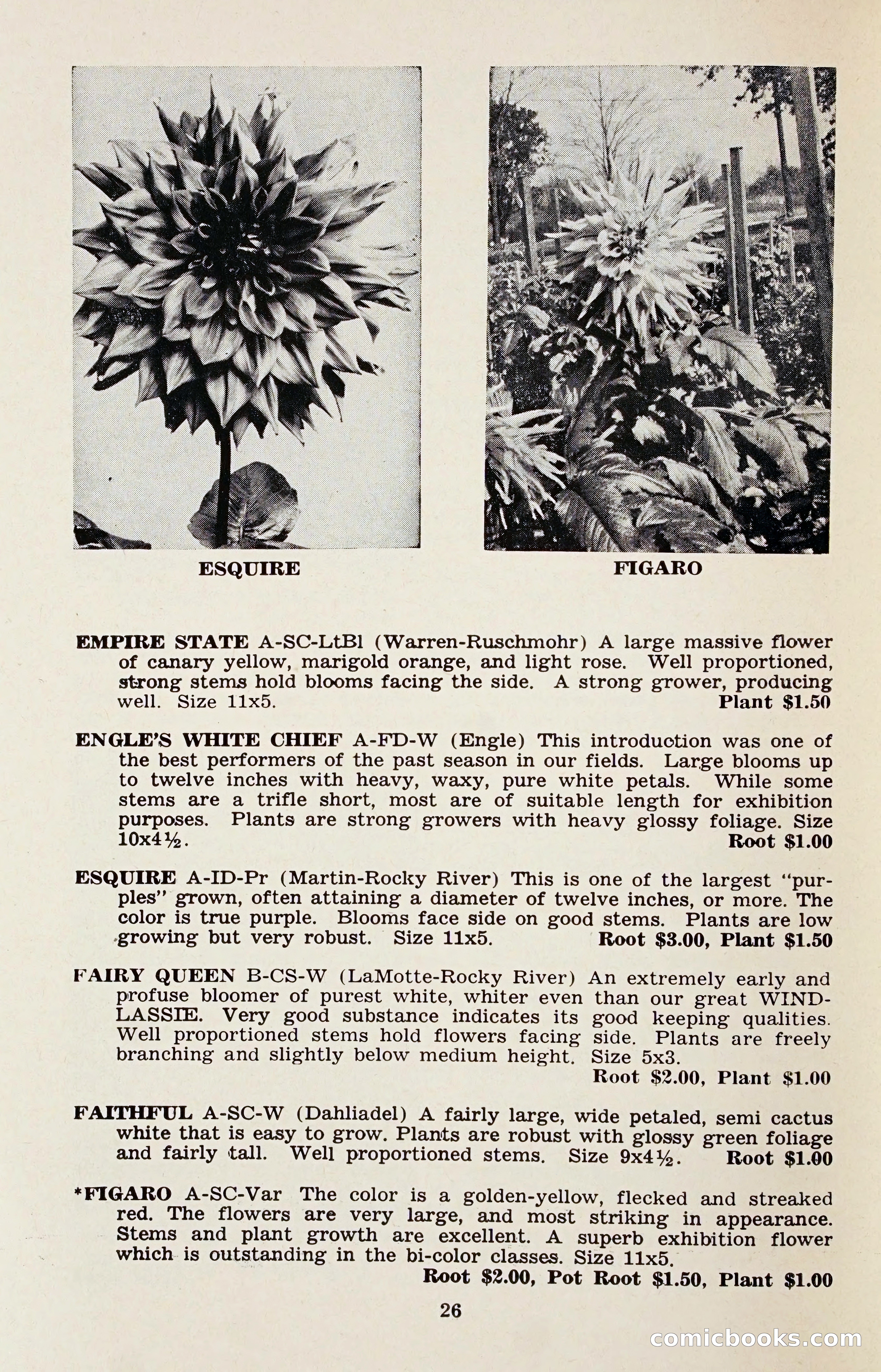The Dahlia Blue Book for 1958 — page 29 of 67