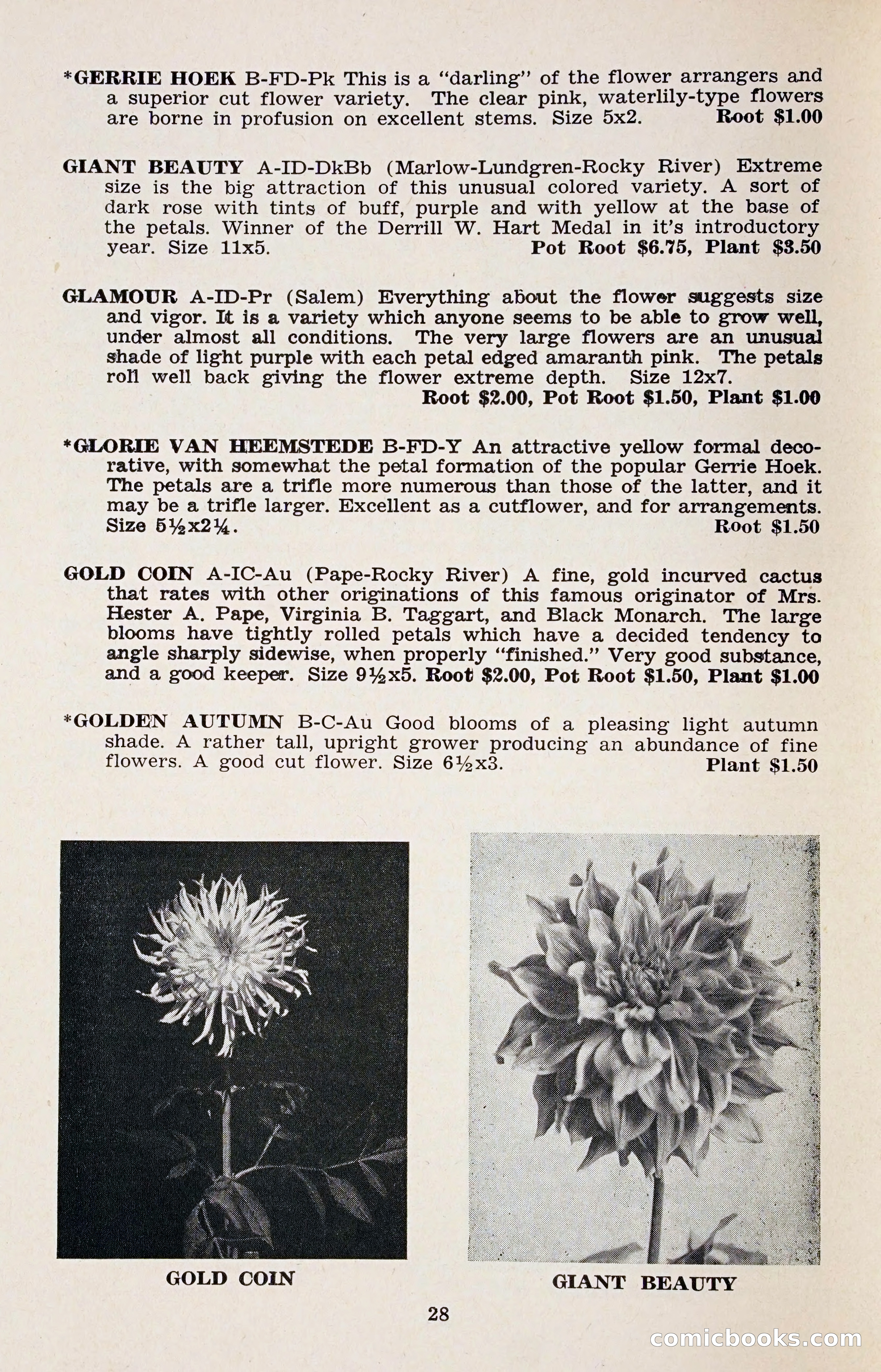 The Dahlia Blue Book for 1958 — page 31 of 67