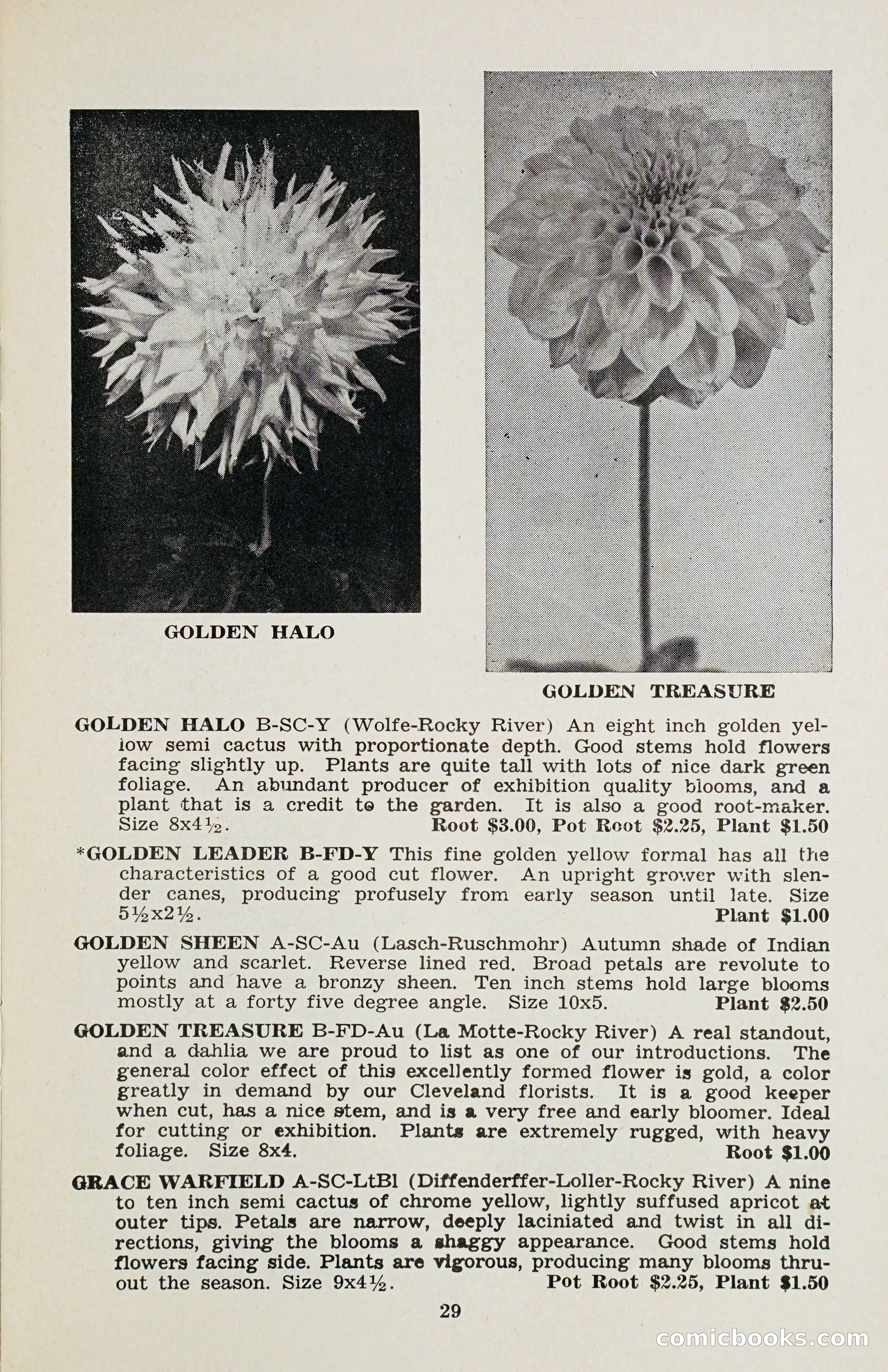 The Dahlia Blue Book for 1958 — page 32 of 67