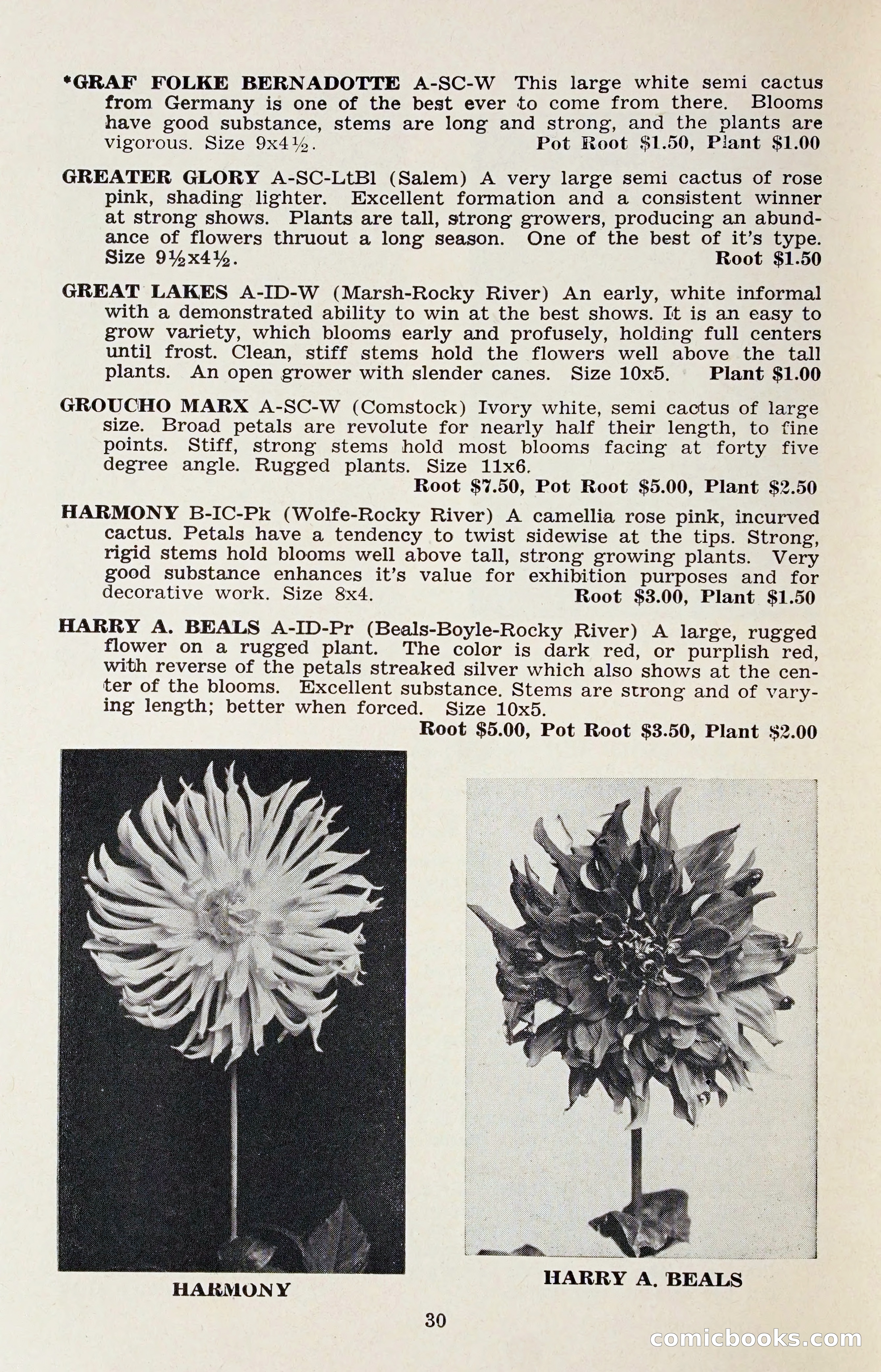 The Dahlia Blue Book for 1958 — page 33 of 67