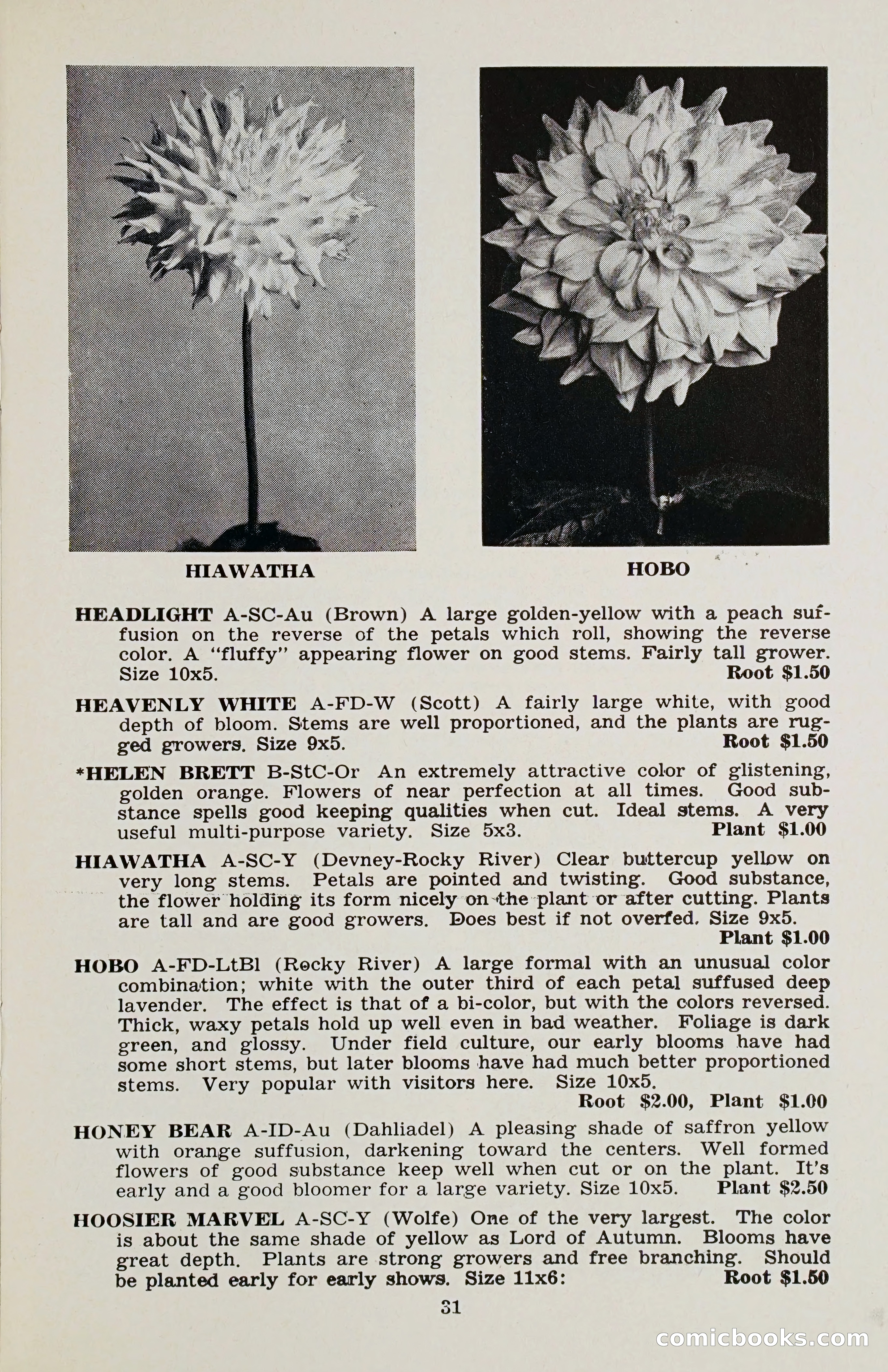 The Dahlia Blue Book for 1958 — page 34 of 67