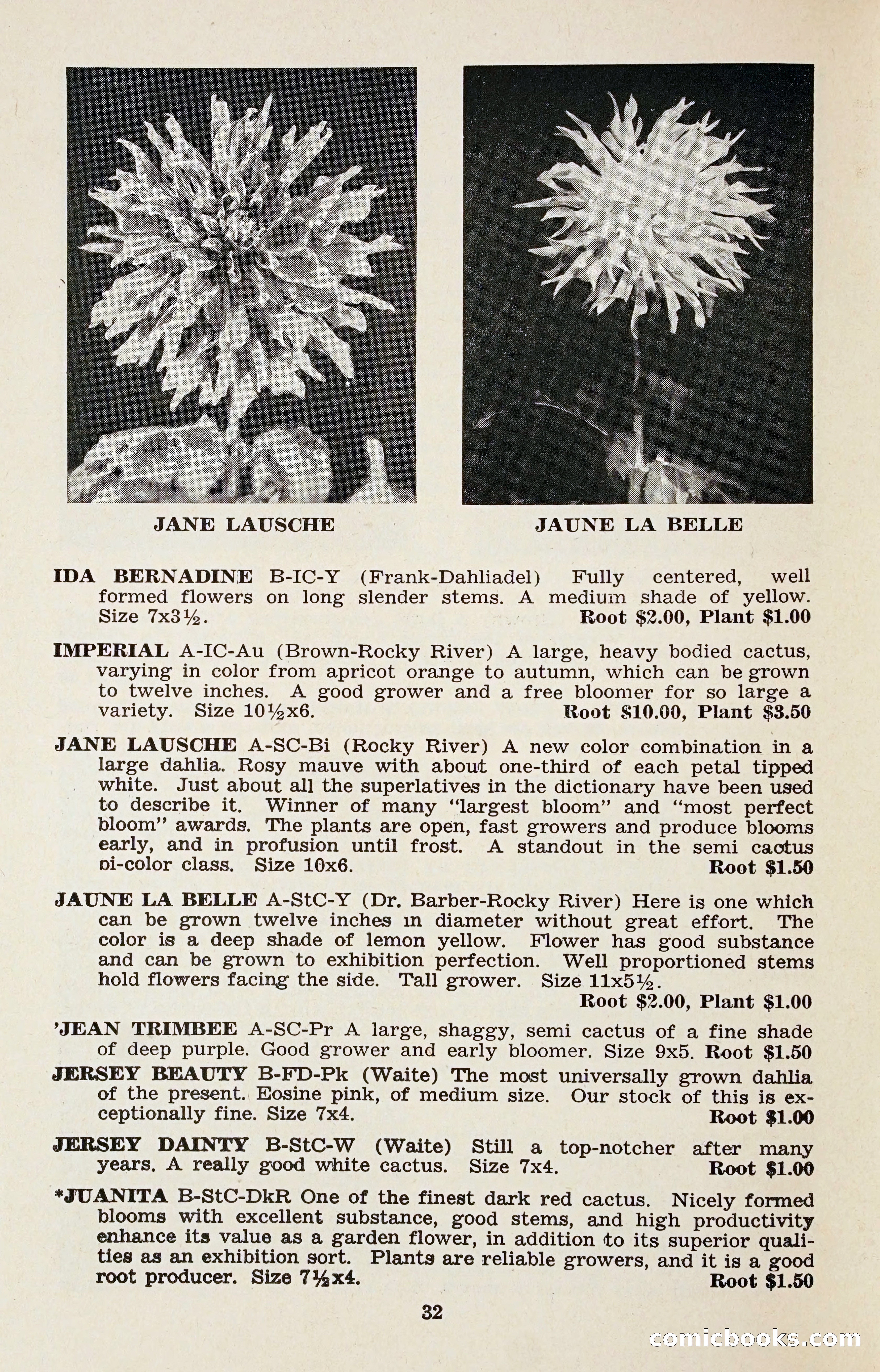 The Dahlia Blue Book for 1958 — page 35 of 67