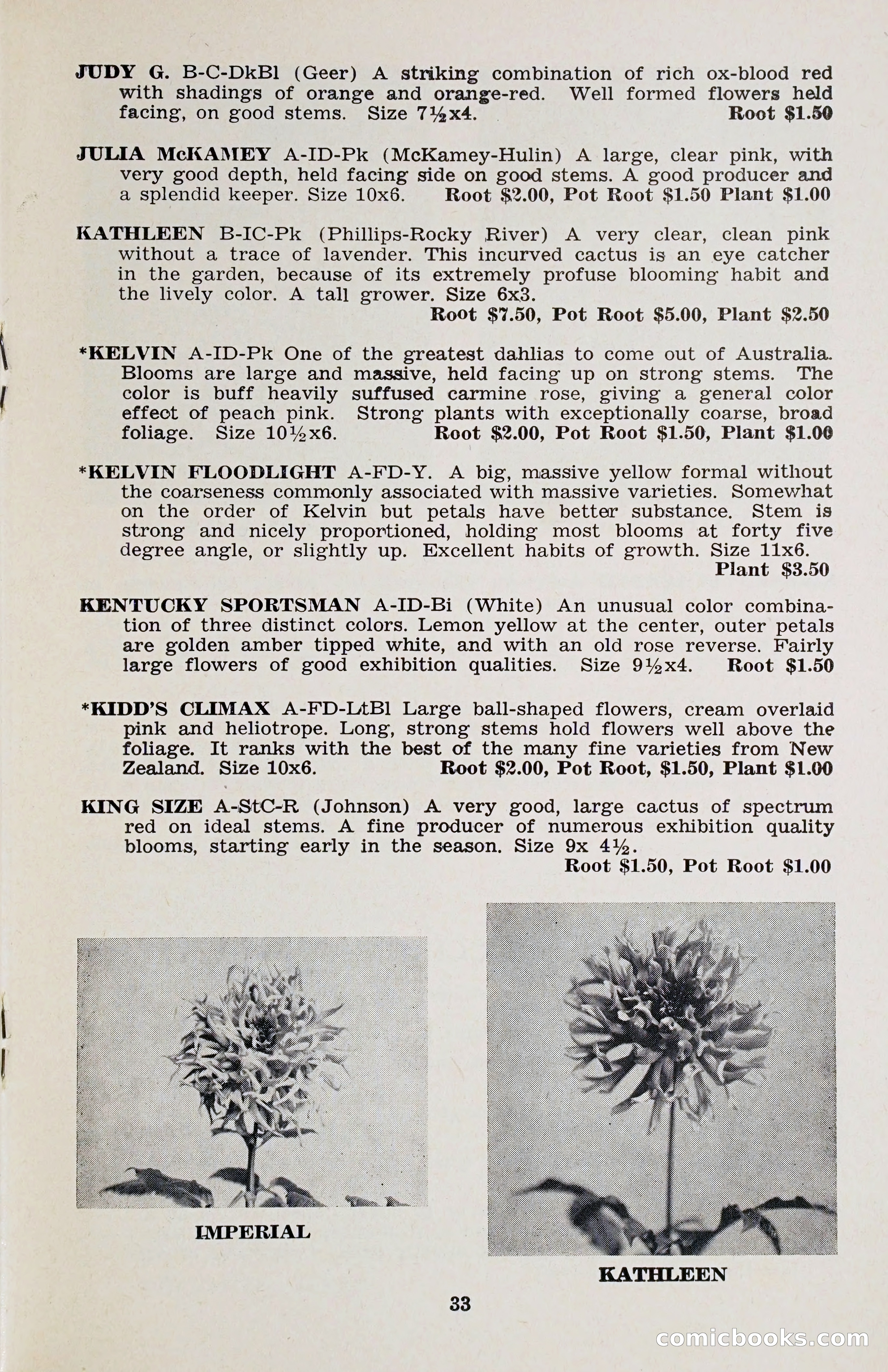 The Dahlia Blue Book for 1958 — page 36 of 67