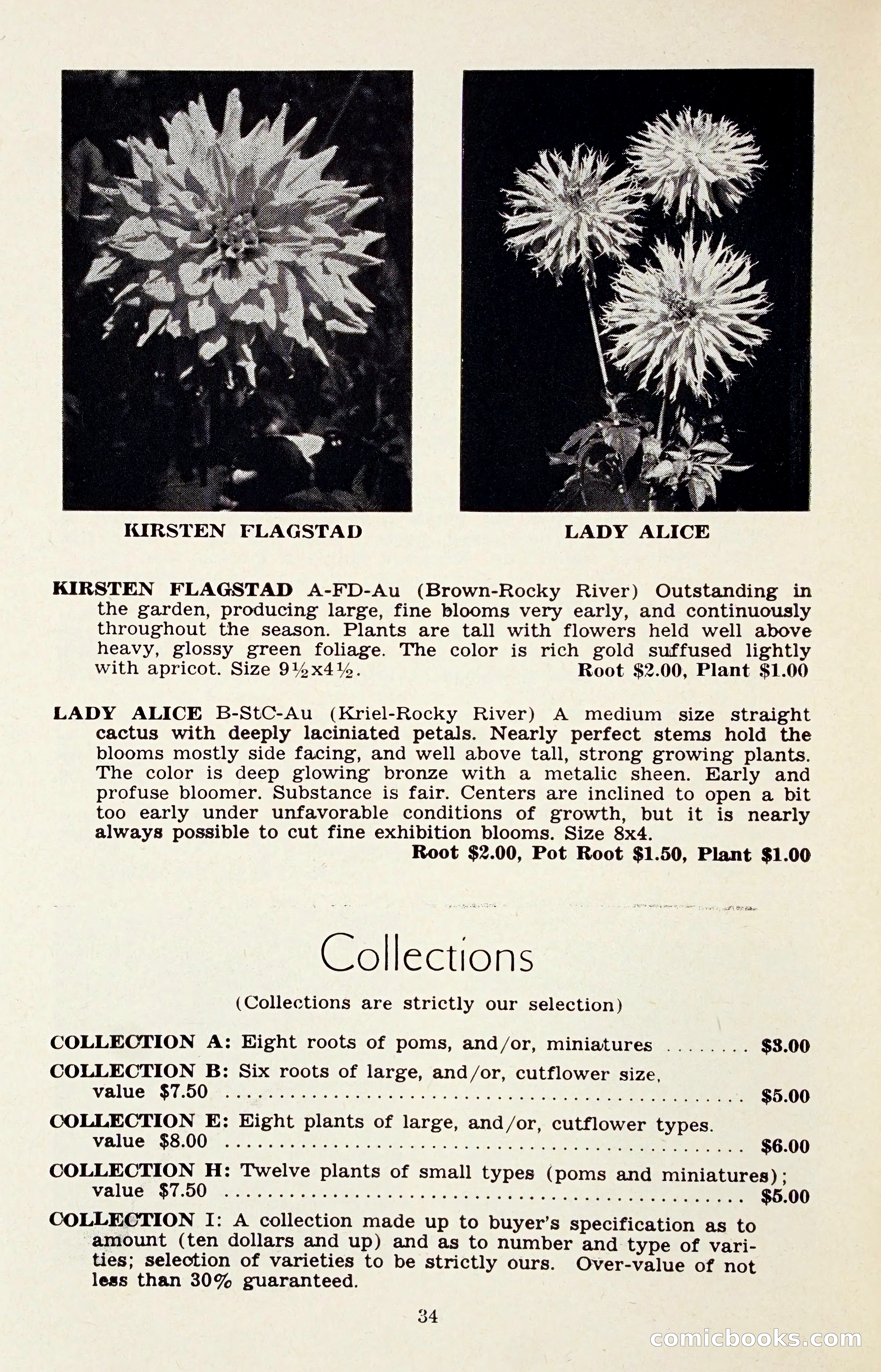 The Dahlia Blue Book for 1958 — page 37 of 67