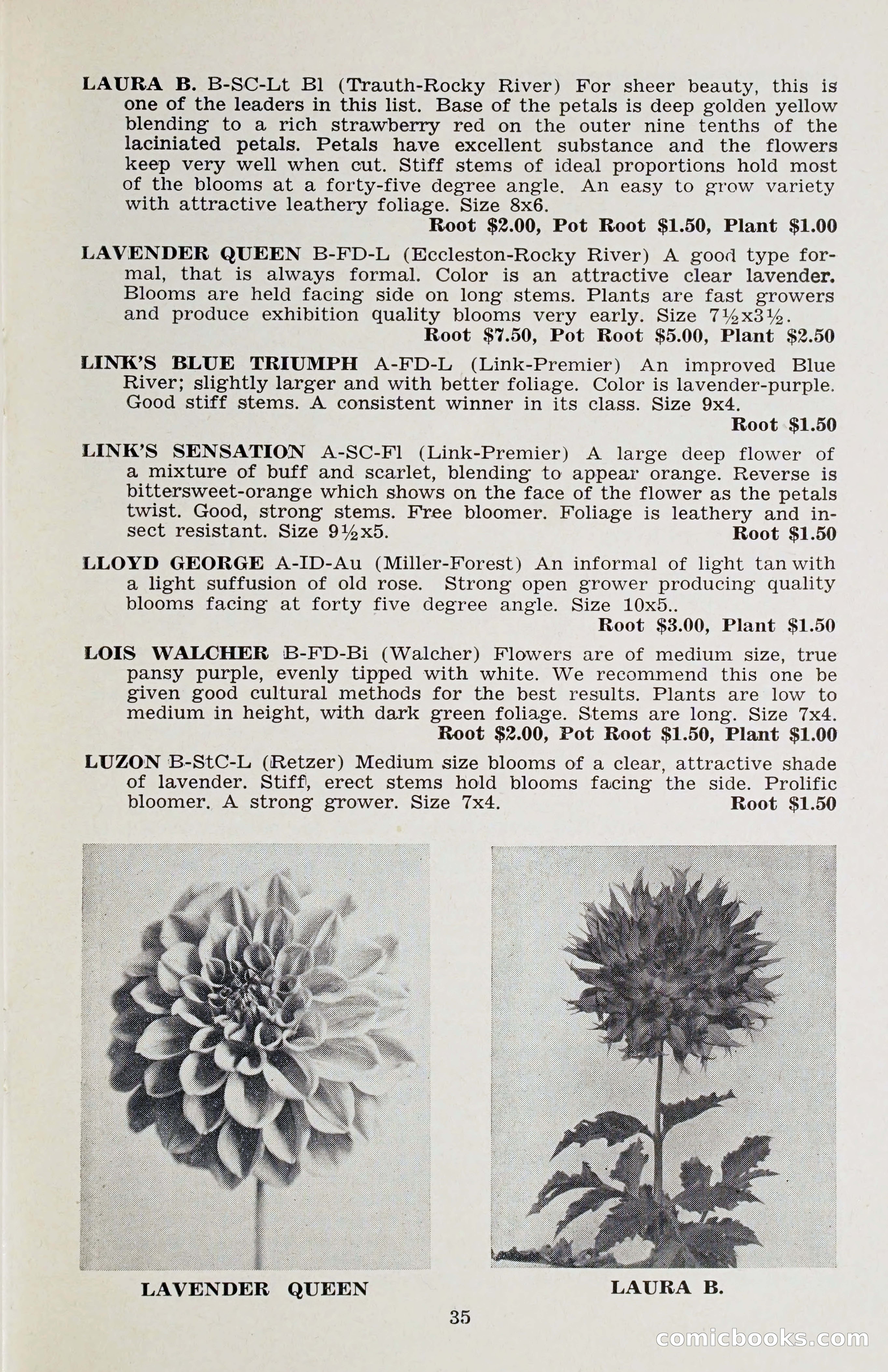 The Dahlia Blue Book for 1958 — page 38 of 67