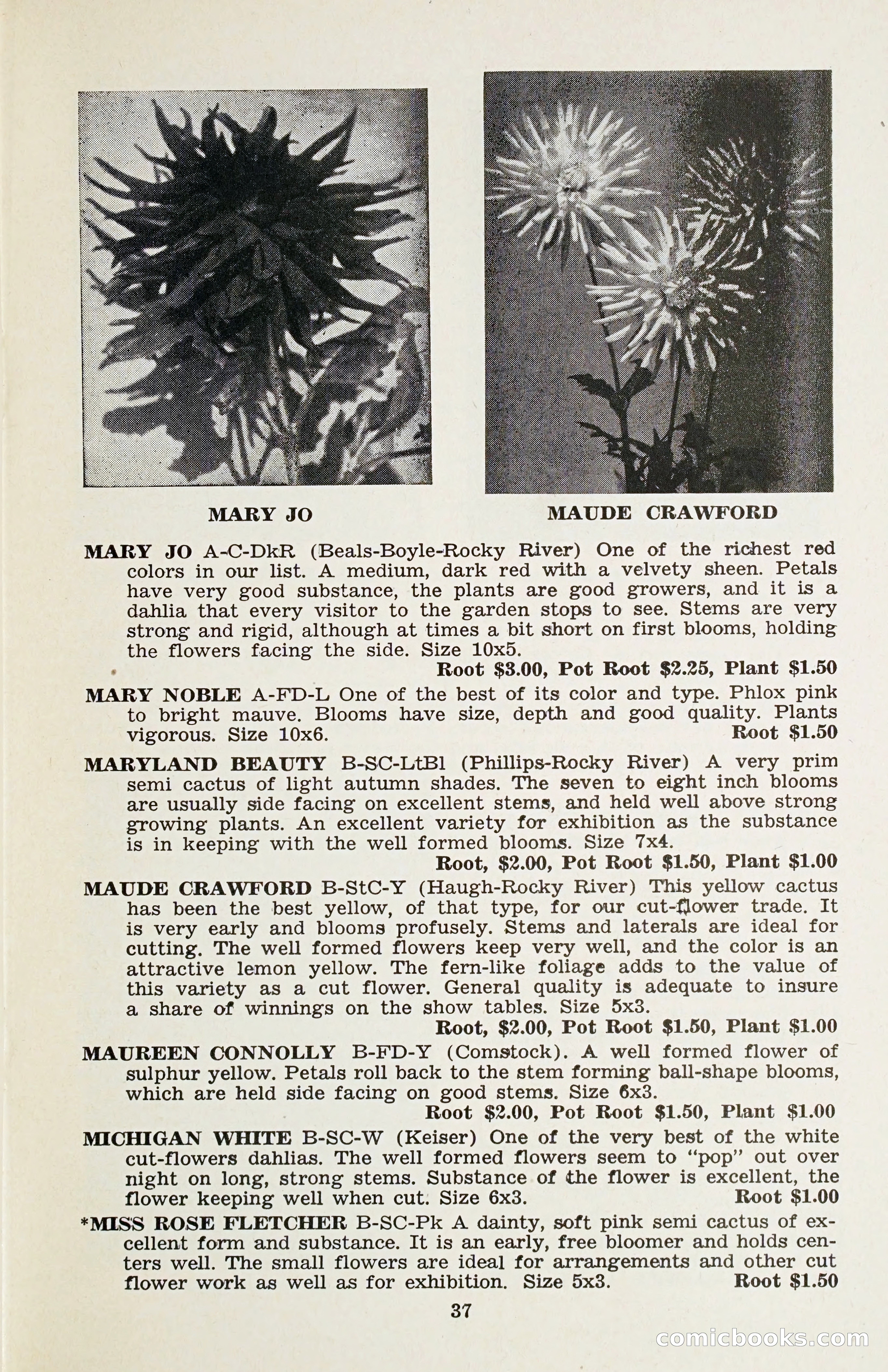 The Dahlia Blue Book for 1958 — page 40 of 67