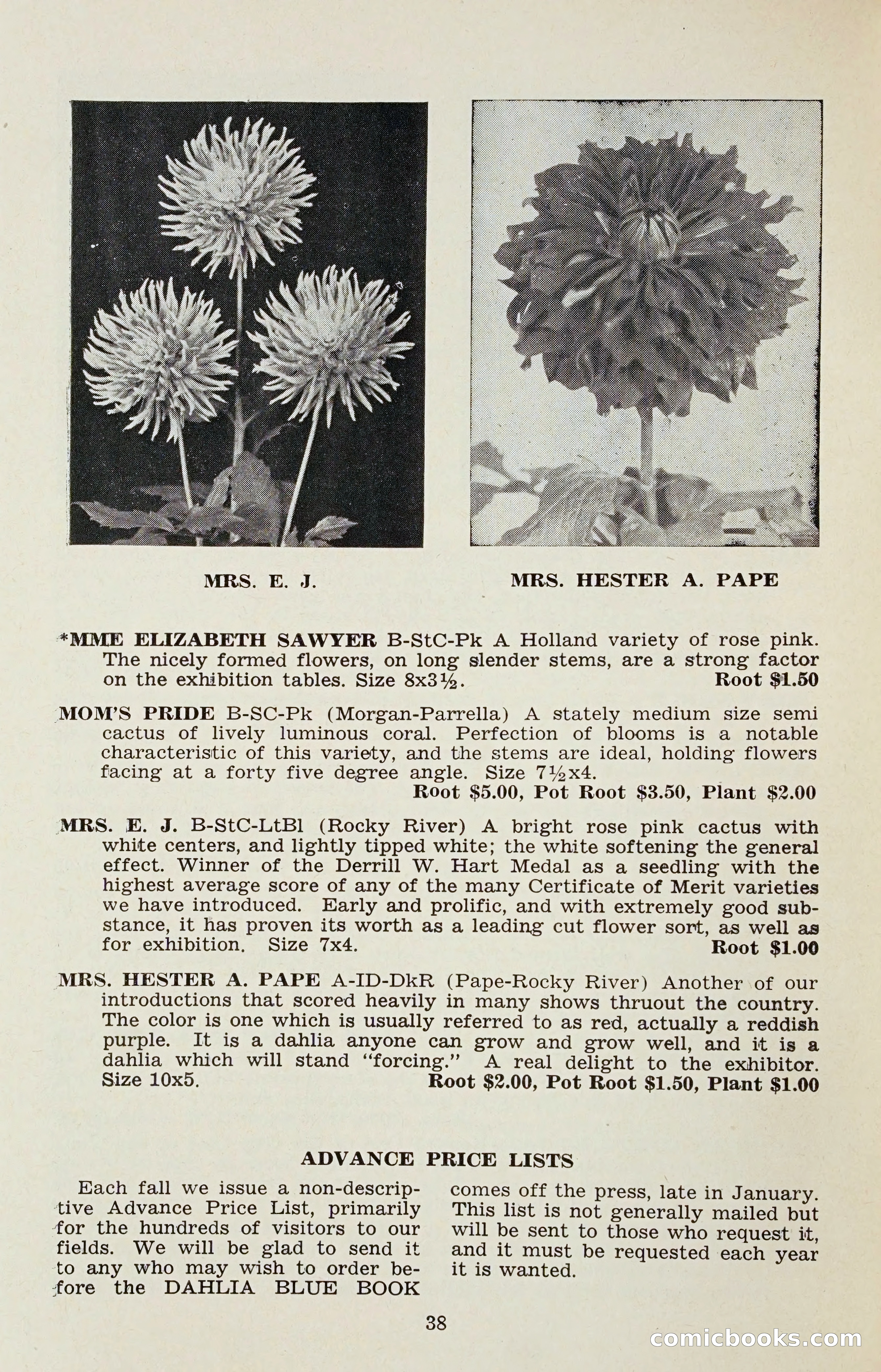 The Dahlia Blue Book for 1958 — page 41 of 67