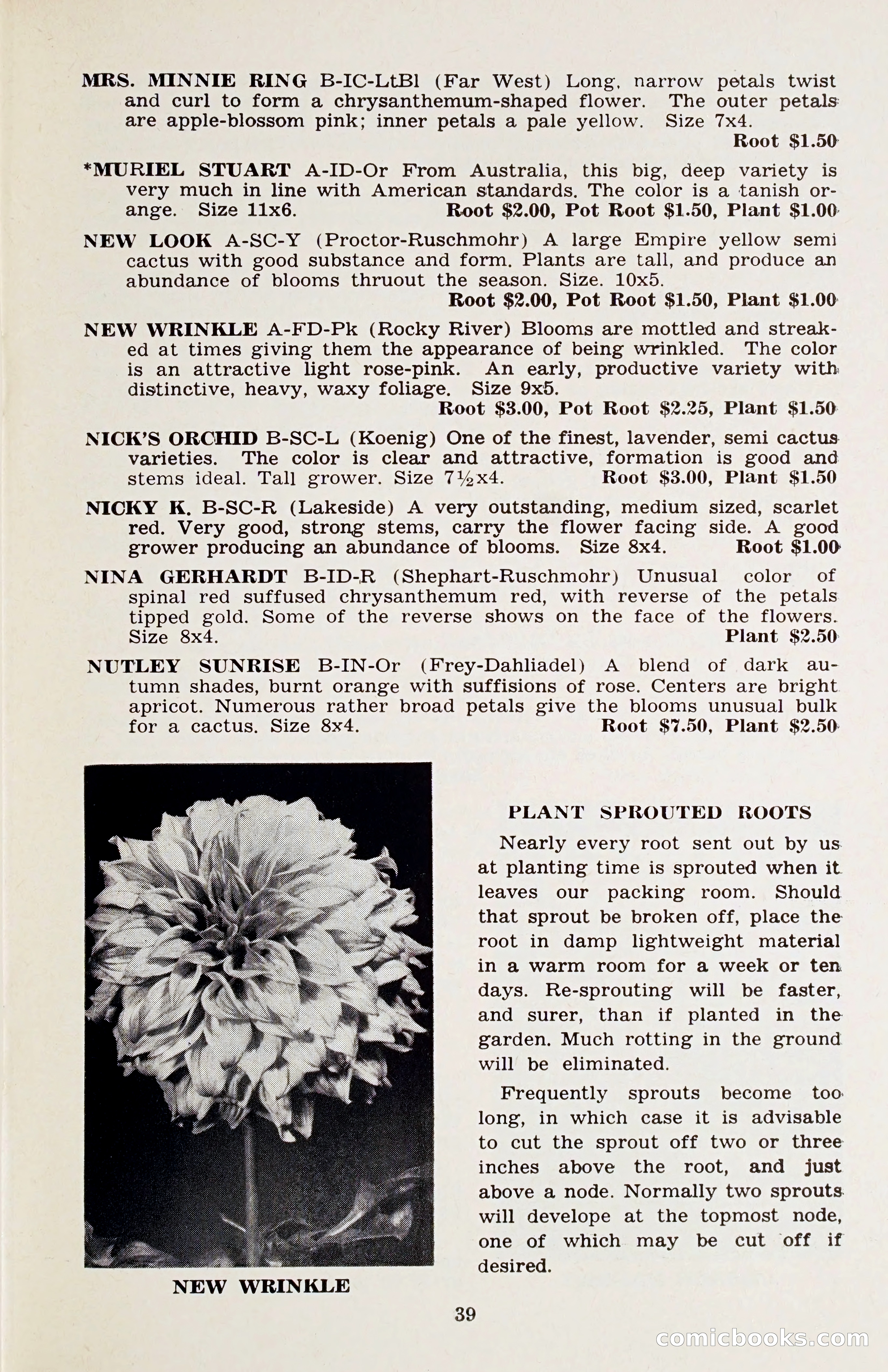 The Dahlia Blue Book for 1958 — page 42 of 67