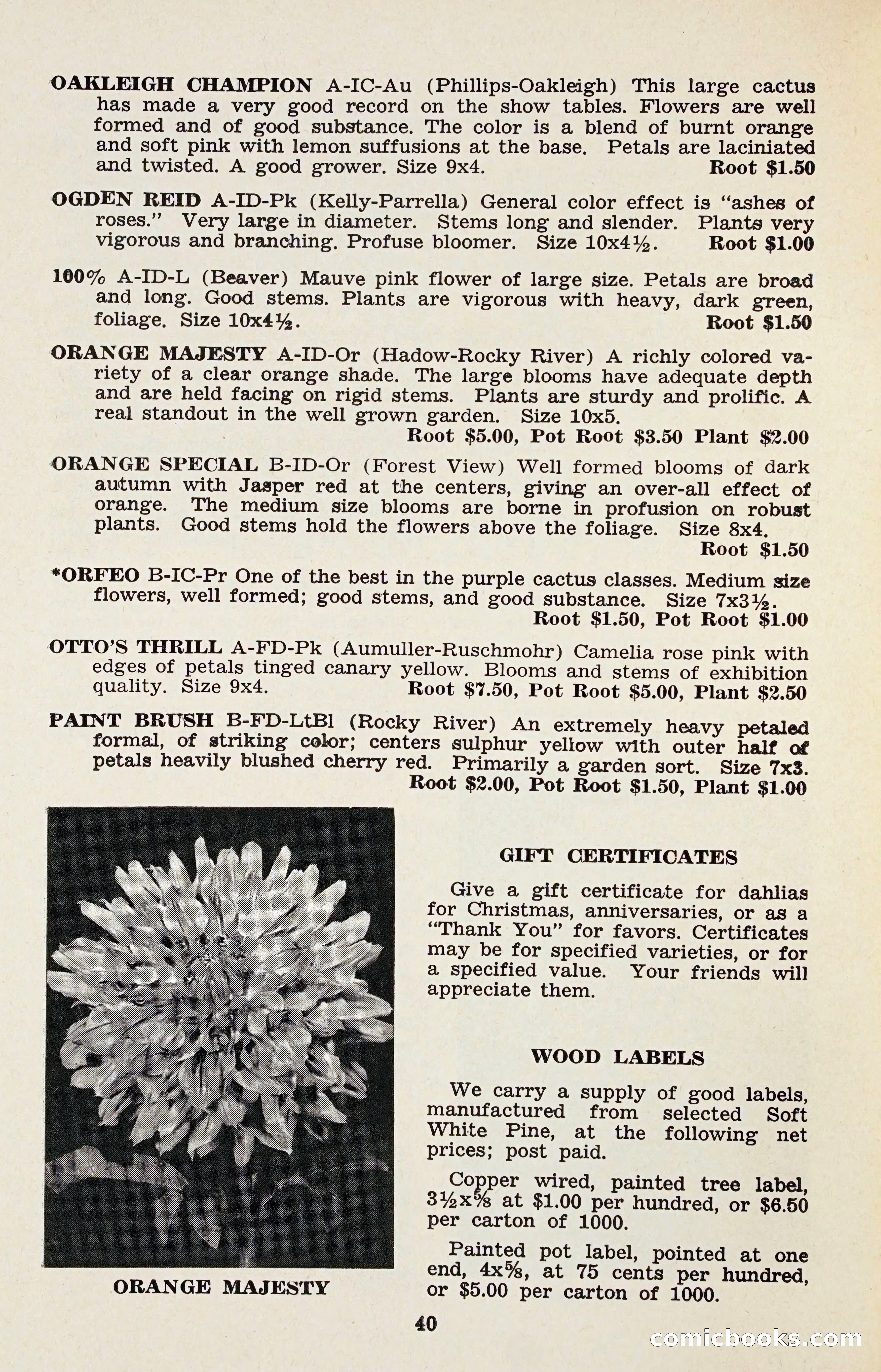 The Dahlia Blue Book for 1958 — page 43 of 67