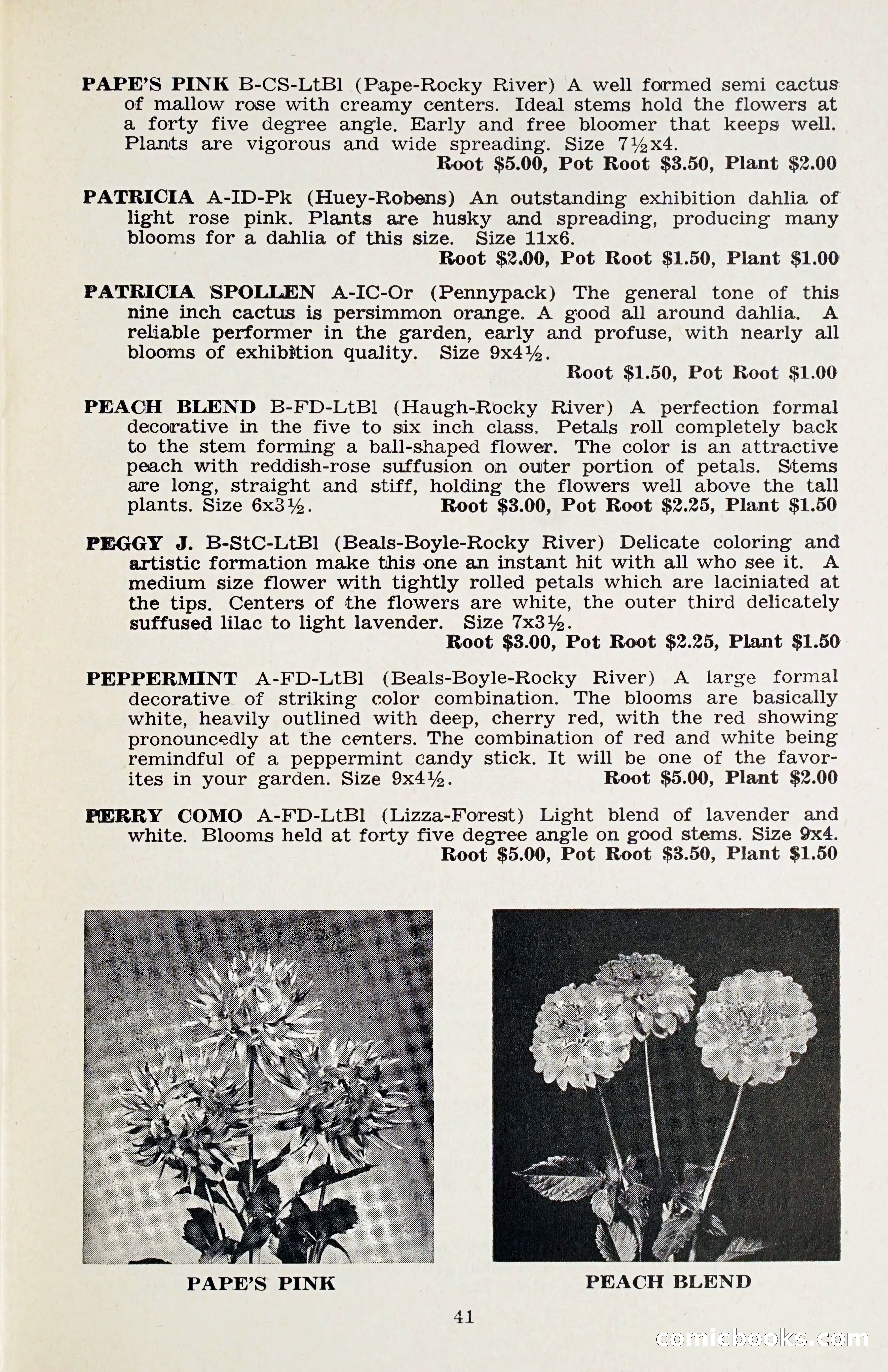 The Dahlia Blue Book for 1958 — page 44 of 67