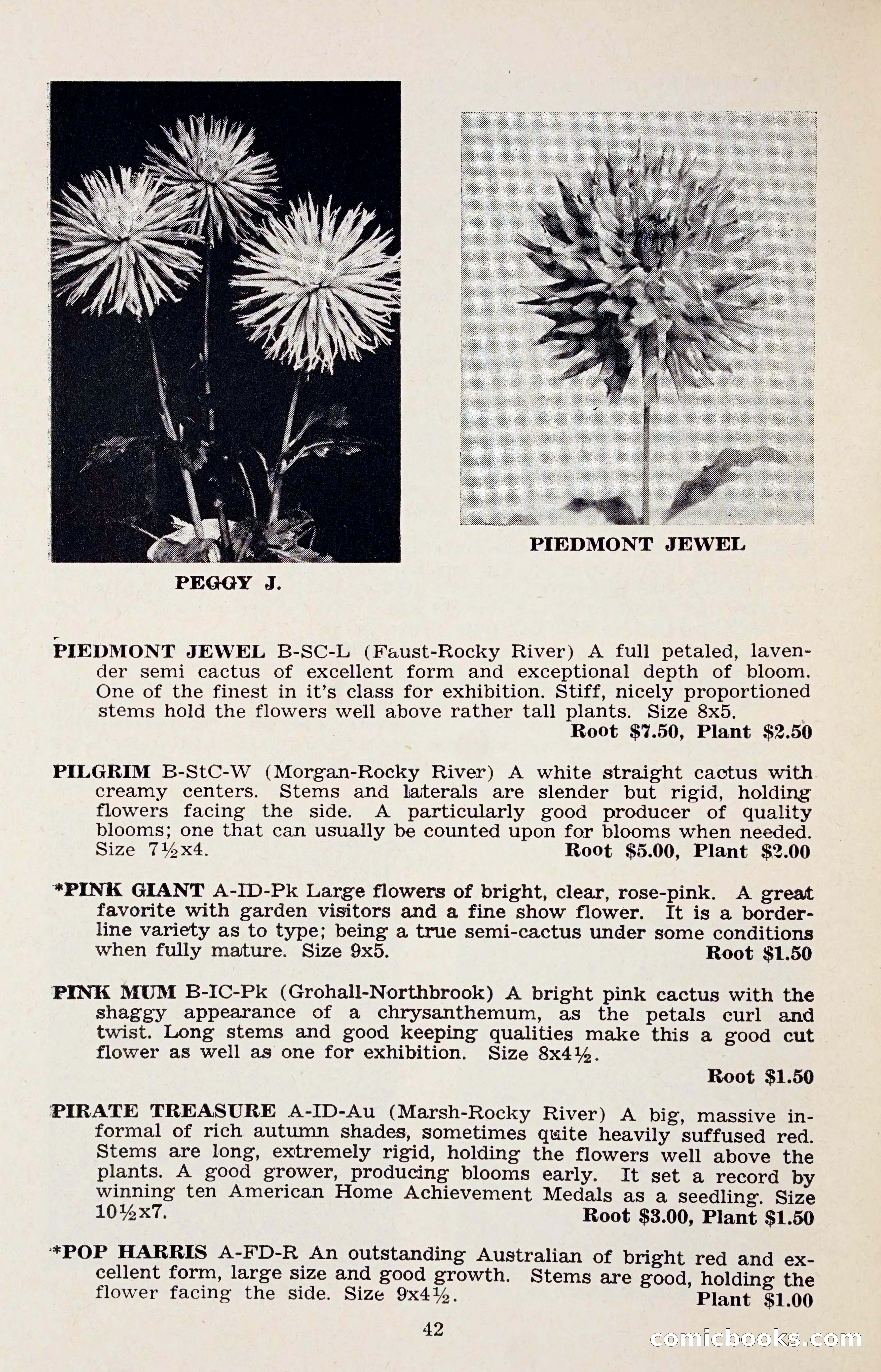 The Dahlia Blue Book for 1958 — page 45 of 67