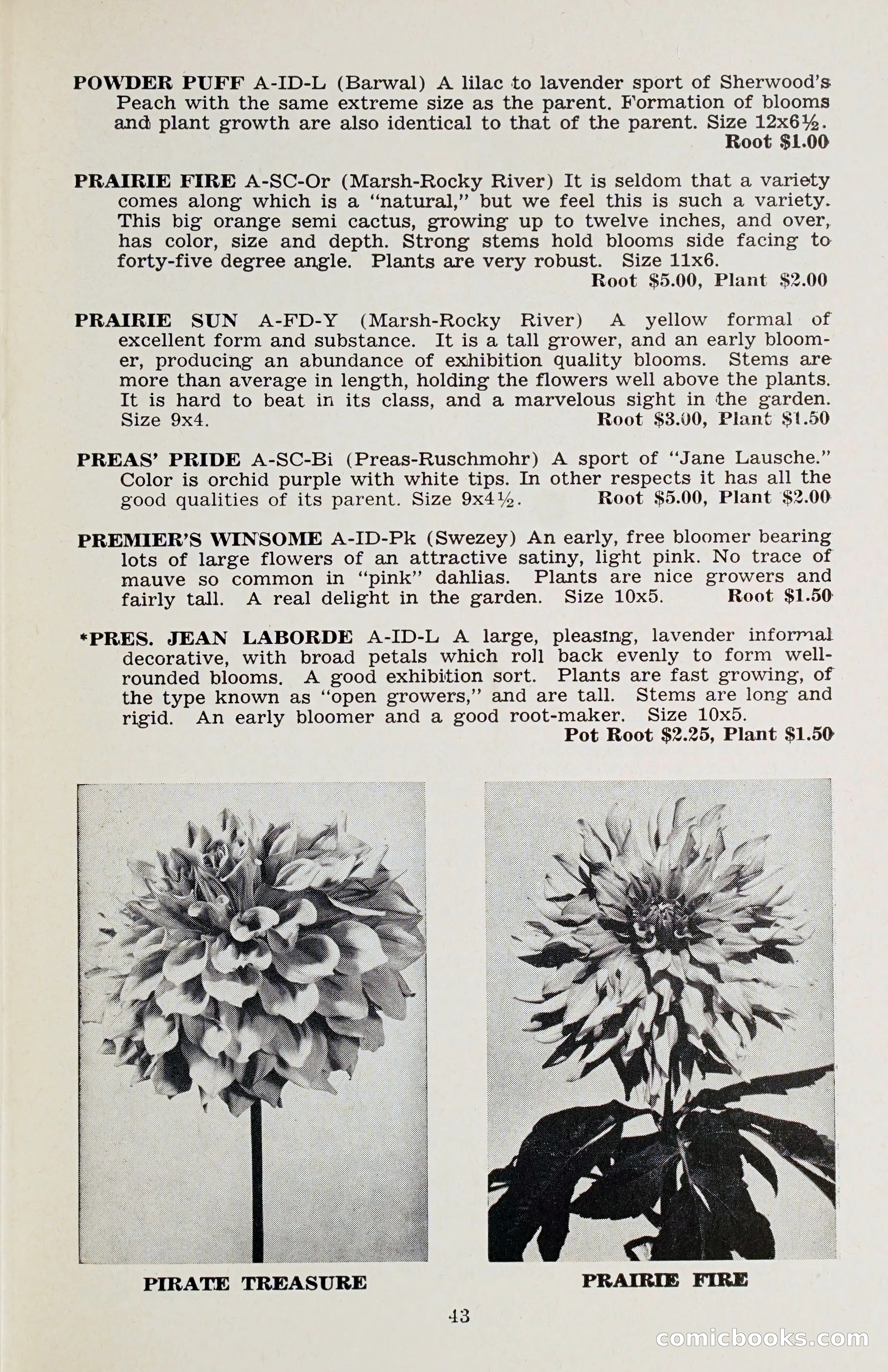 The Dahlia Blue Book for 1958 — page 46 of 67