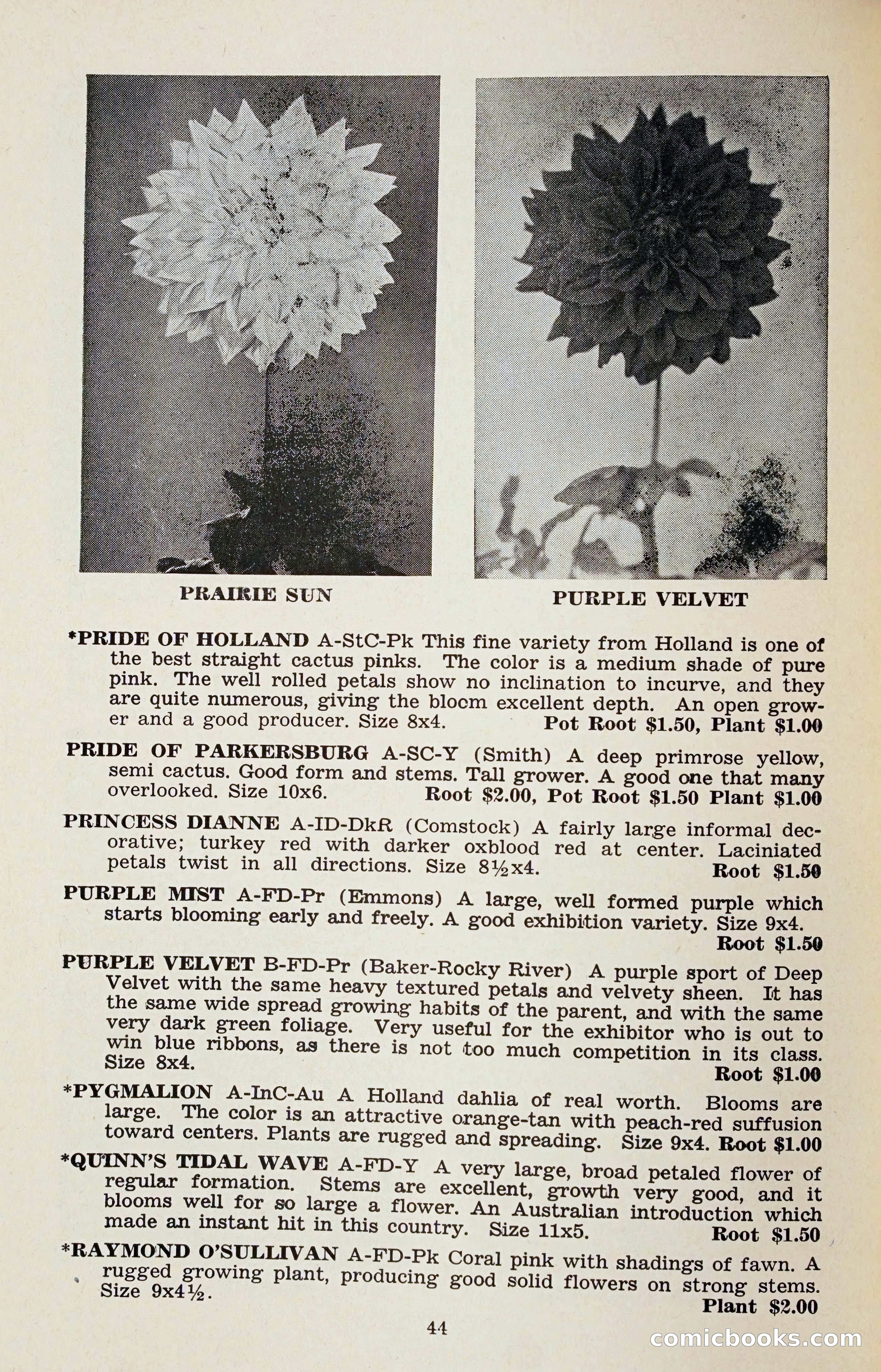 The Dahlia Blue Book for 1958 — page 47 of 67