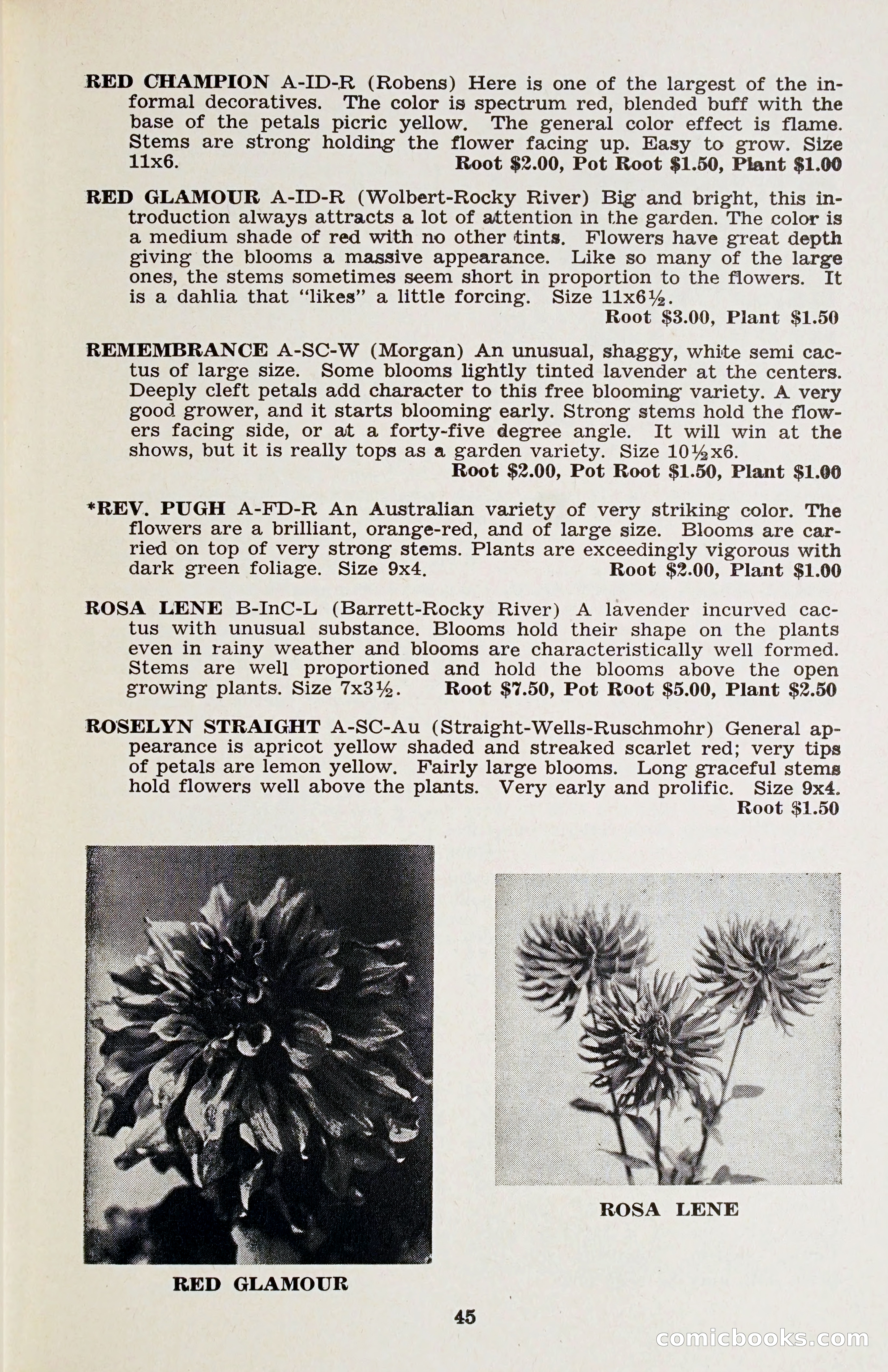 The Dahlia Blue Book for 1958 — page 48 of 67