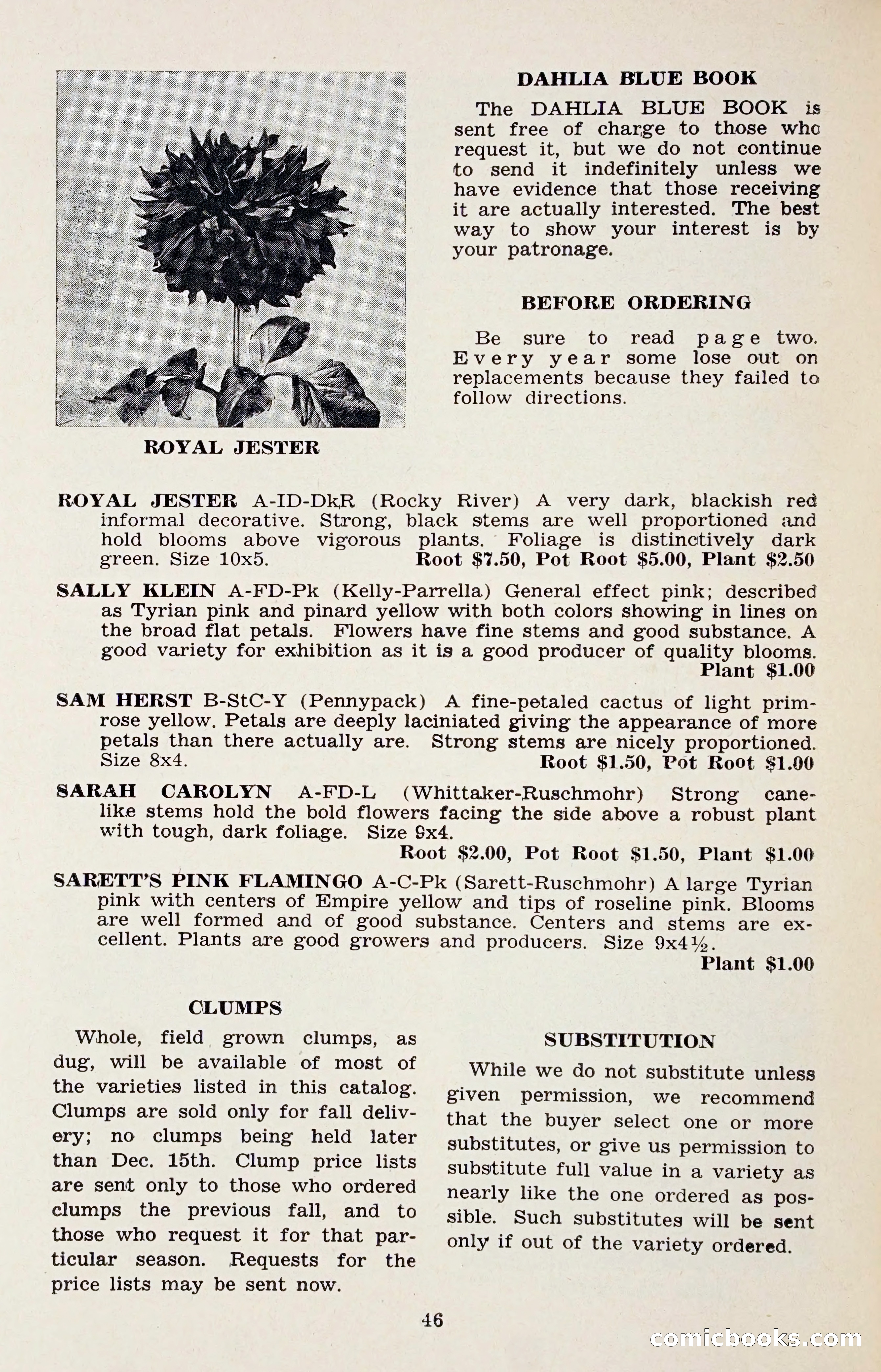 The Dahlia Blue Book for 1958 — page 49 of 67