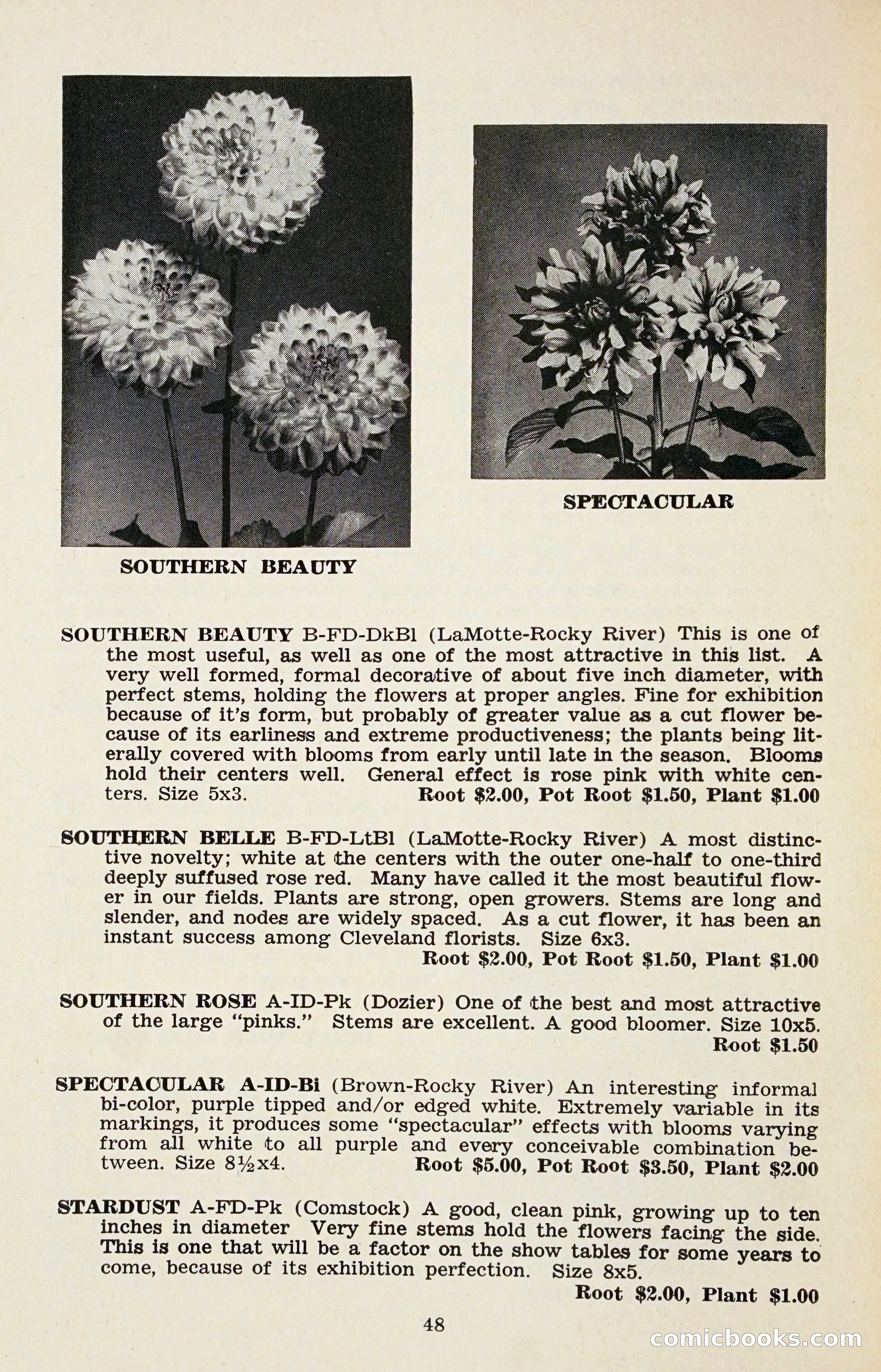 The Dahlia Blue Book for 1958 — page 51 of 67