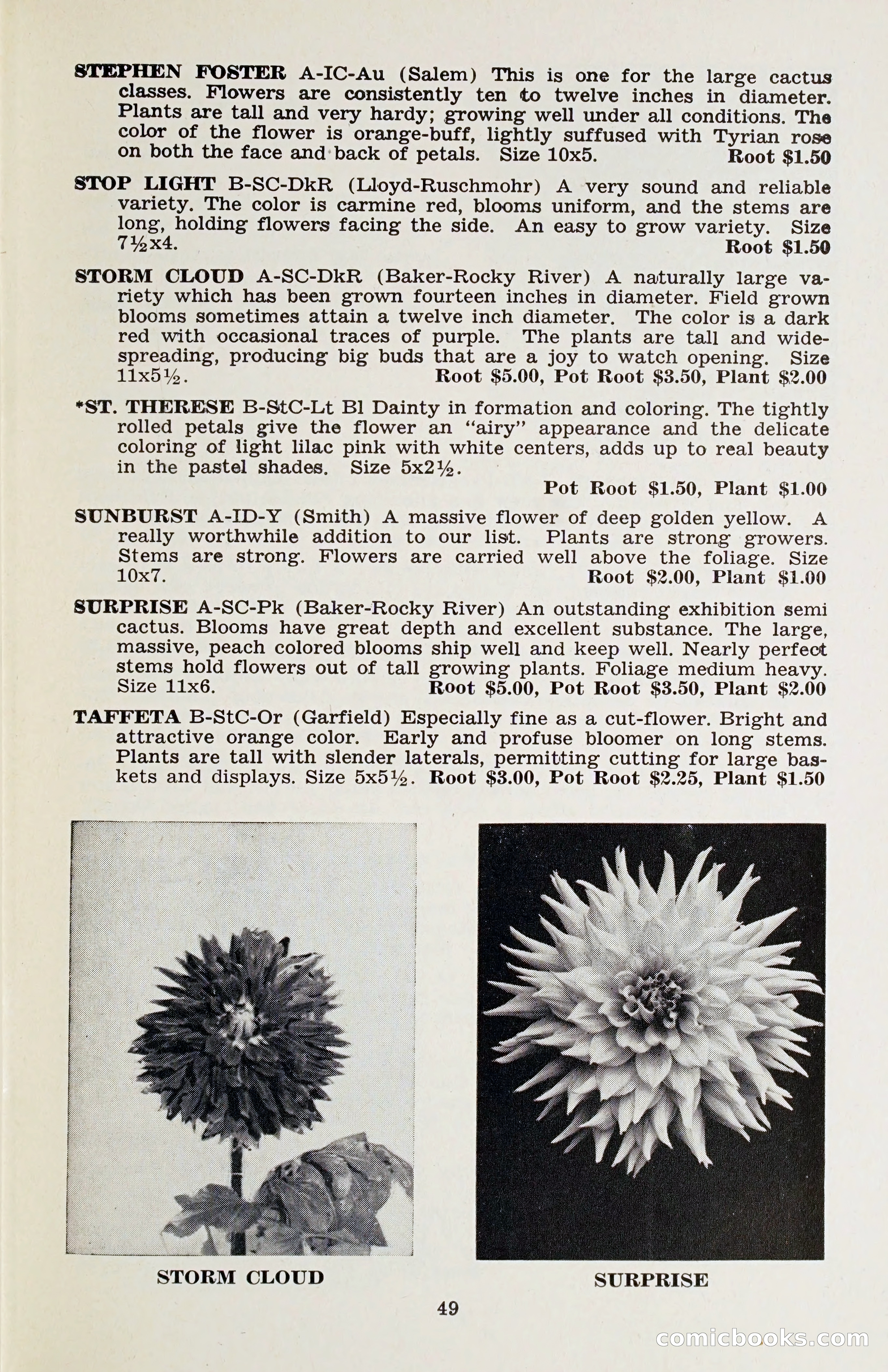 The Dahlia Blue Book for 1958 — page 52 of 67