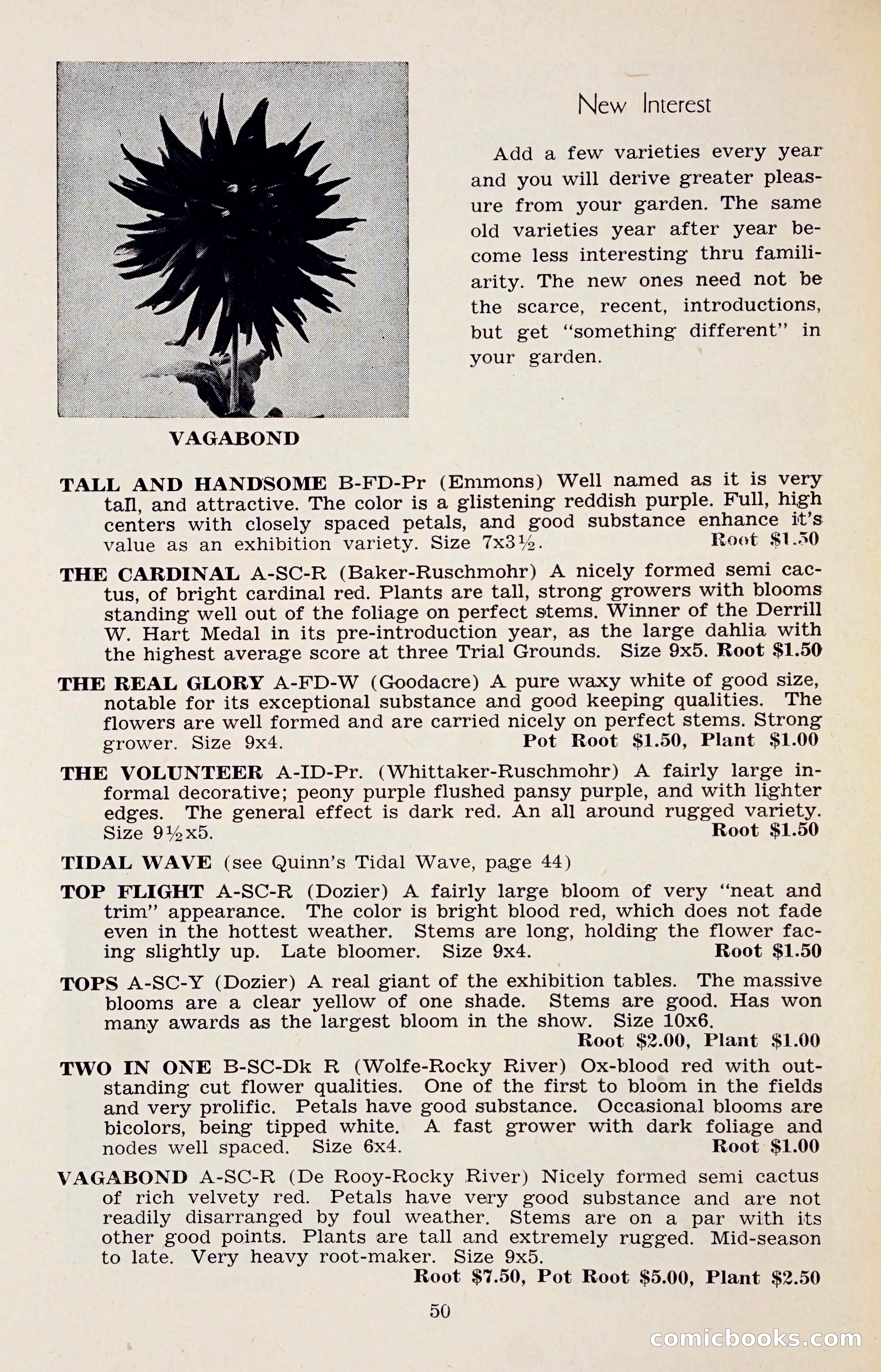The Dahlia Blue Book for 1958 — page 53 of 67