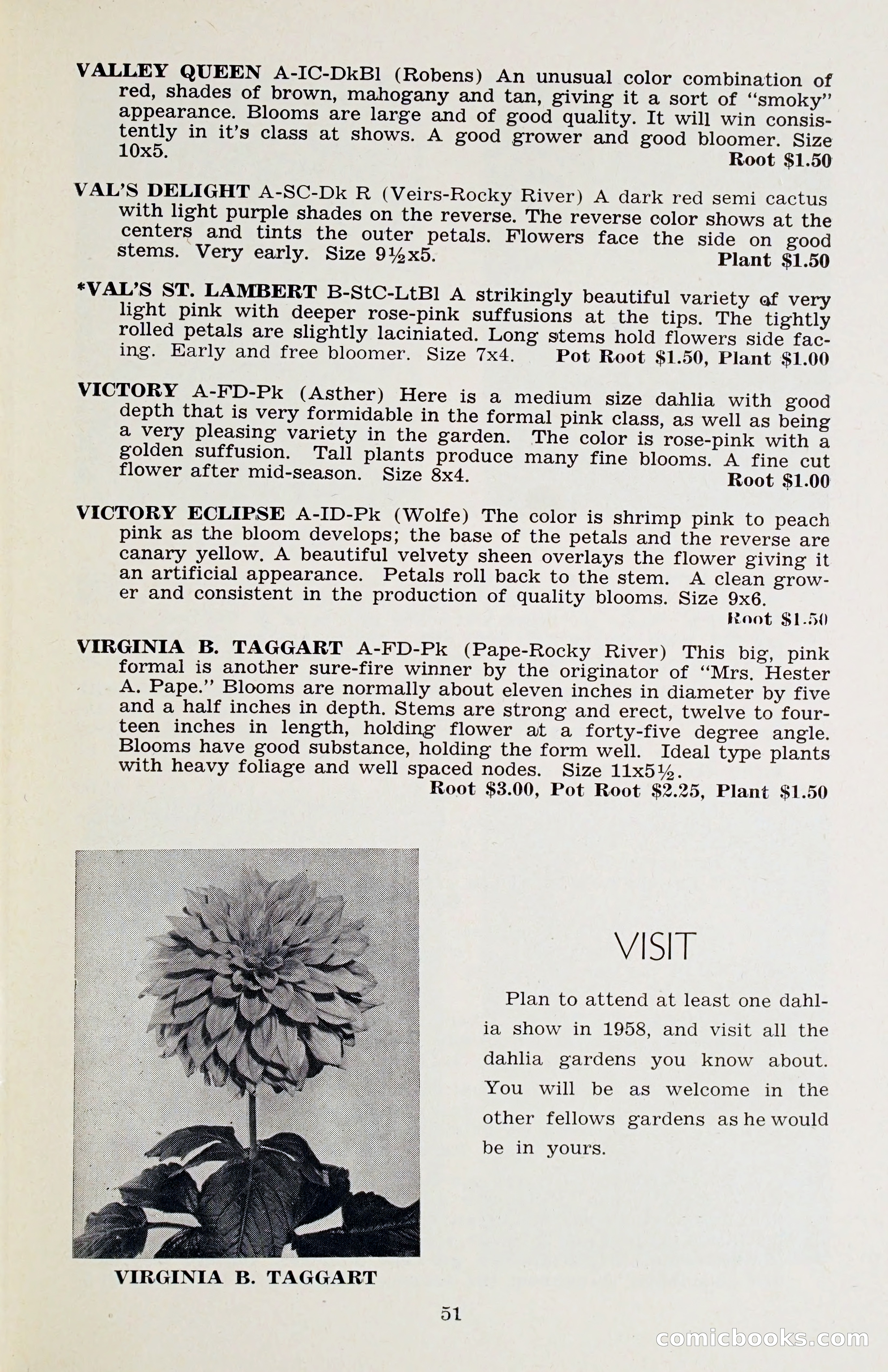 The Dahlia Blue Book for 1958 — page 54 of 67